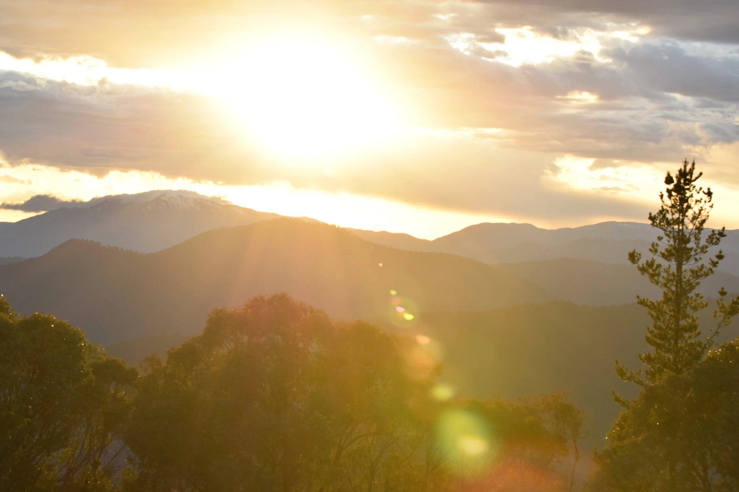 Time to wake up and take a picture