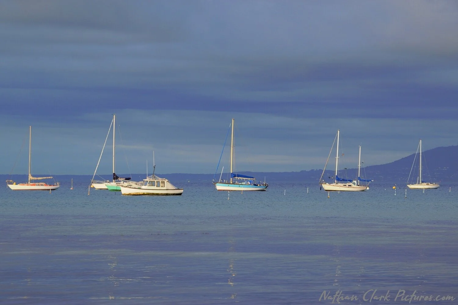 DSC_0736 ERW.jpg