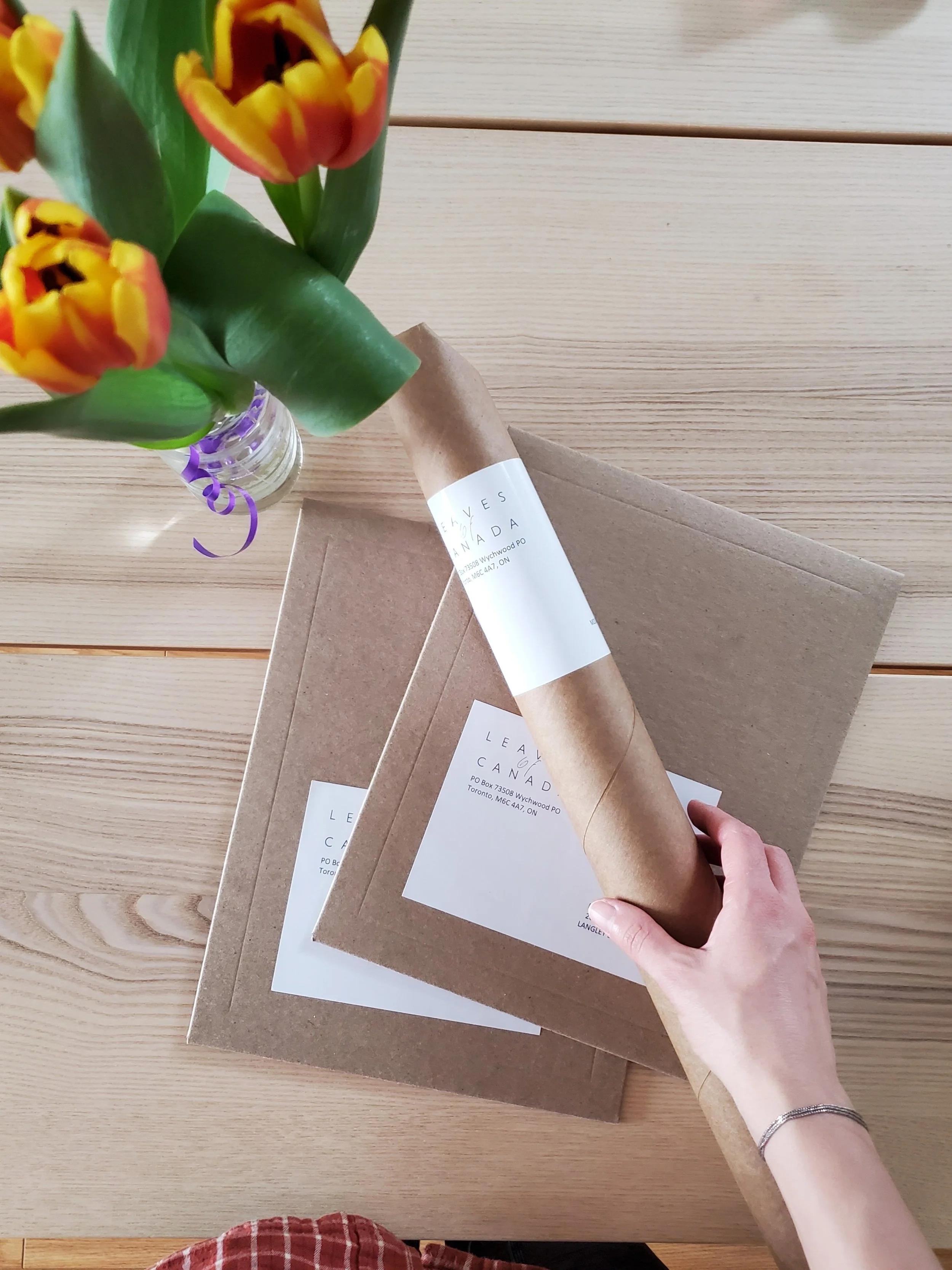 packaging.jpg (Copy) (Copy) (Copy) (Copy)