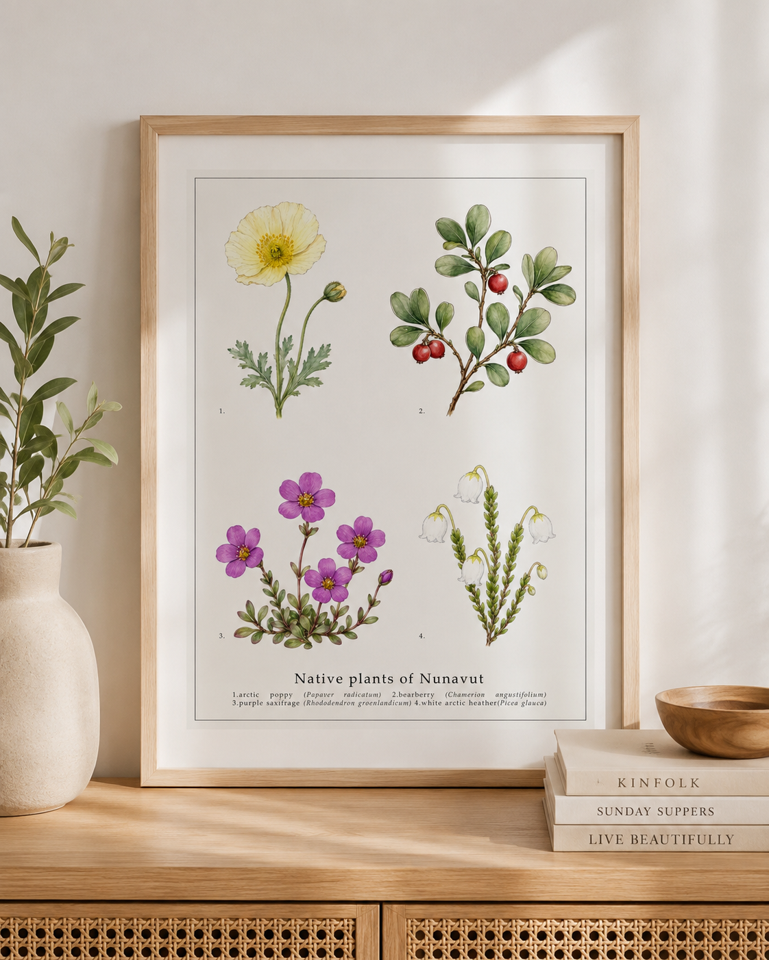 Native Plants of Nunavut,  Botanical Art Print