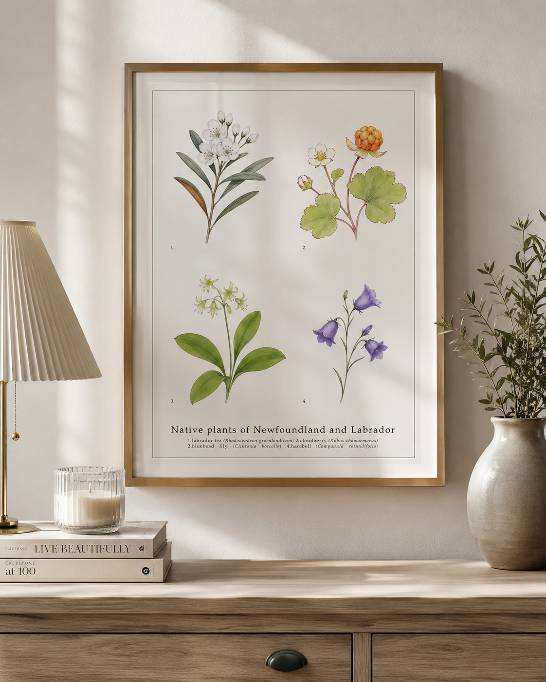 Native Plants of New Foundland & Labrador,  Botanical Art Print