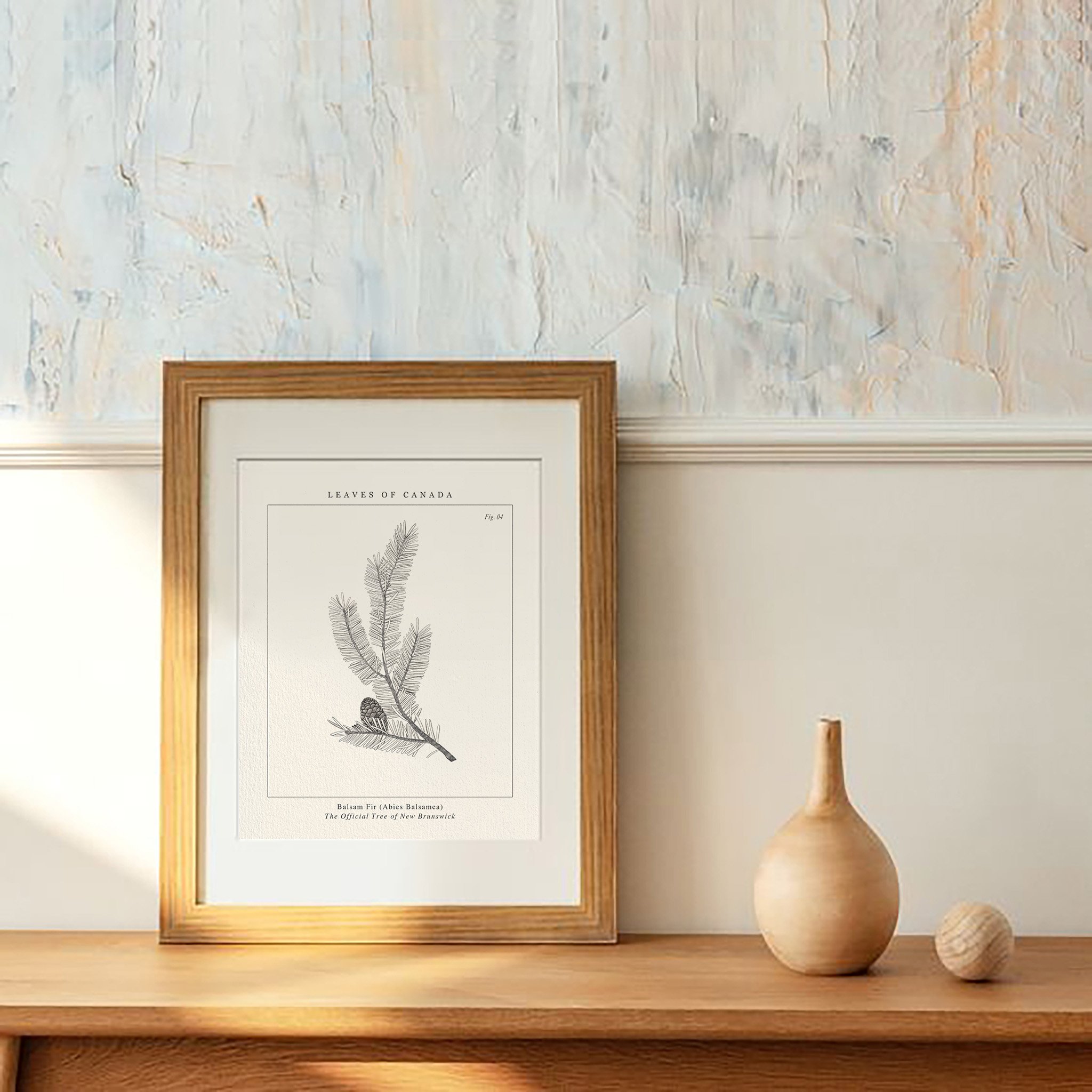 Leaning against a light wall New Brunswick Balsam Fir botanical illustration with wooden frame on a wooden table