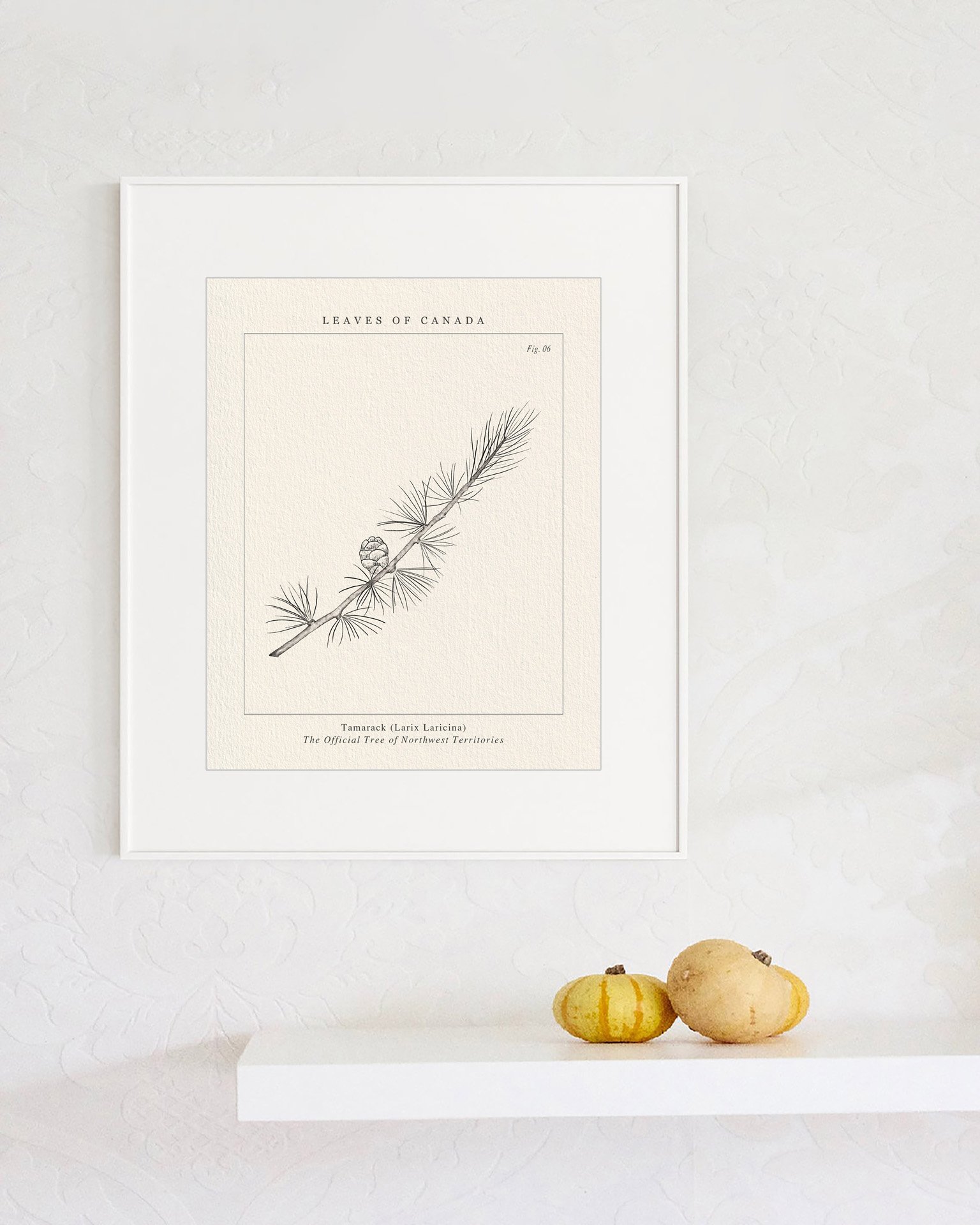 Hanging Northwest Territories Tamarack botanical wall art with white wooden frame on a white background
