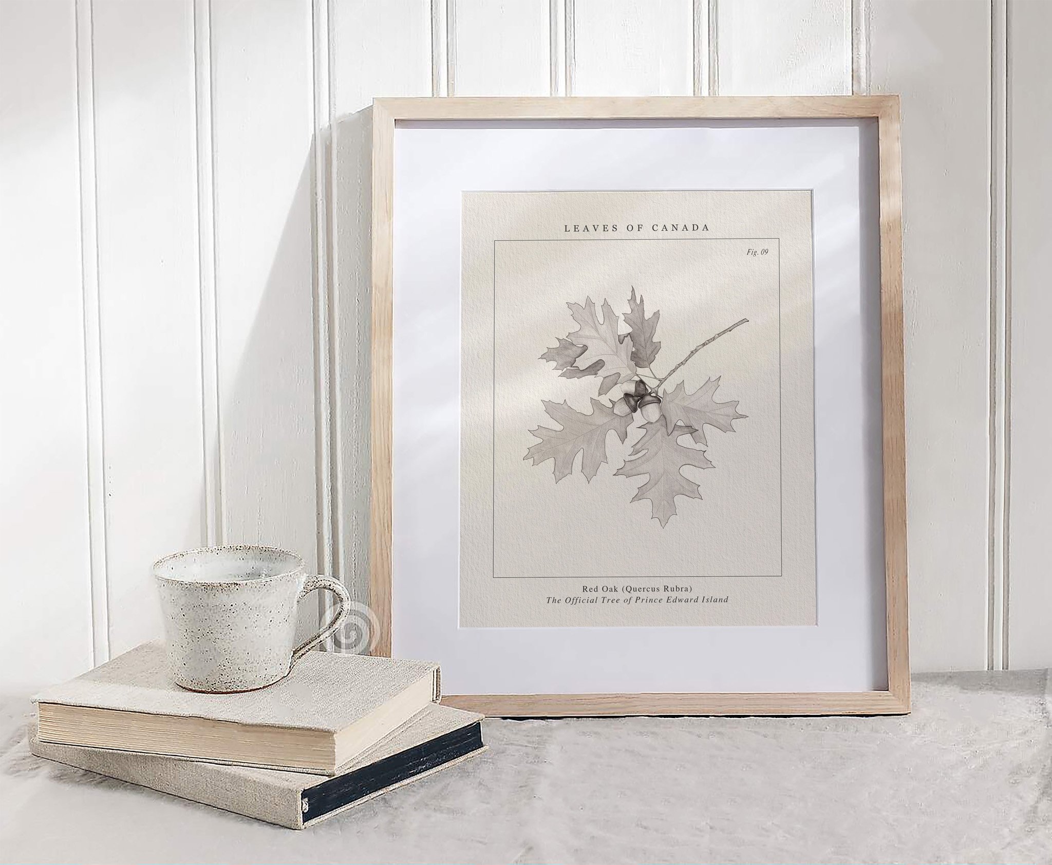 Canadian Red Oak botanical wall art with wooden frame on a light background next to couple of books and a cup on them