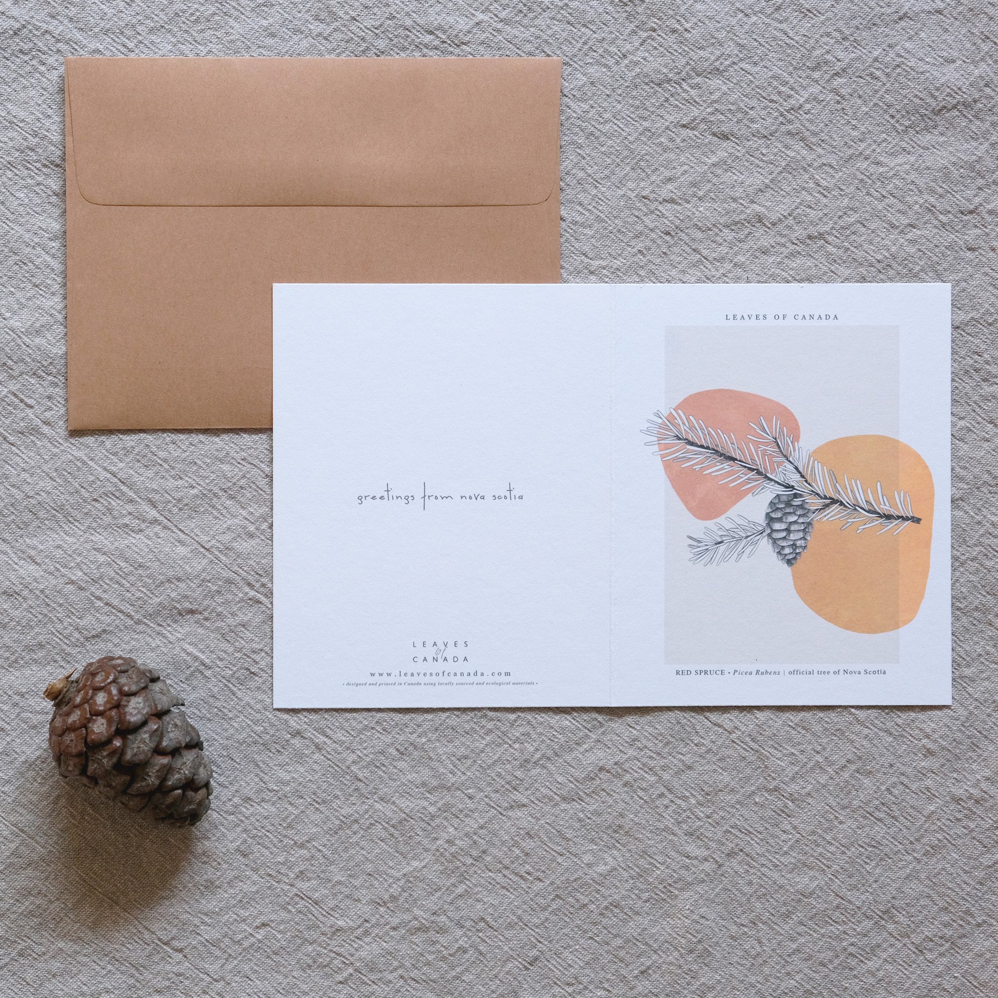 Image of a botanical postcard Nova Scotia Canada in front of a golden envelope on a gray background next to a spruce cone