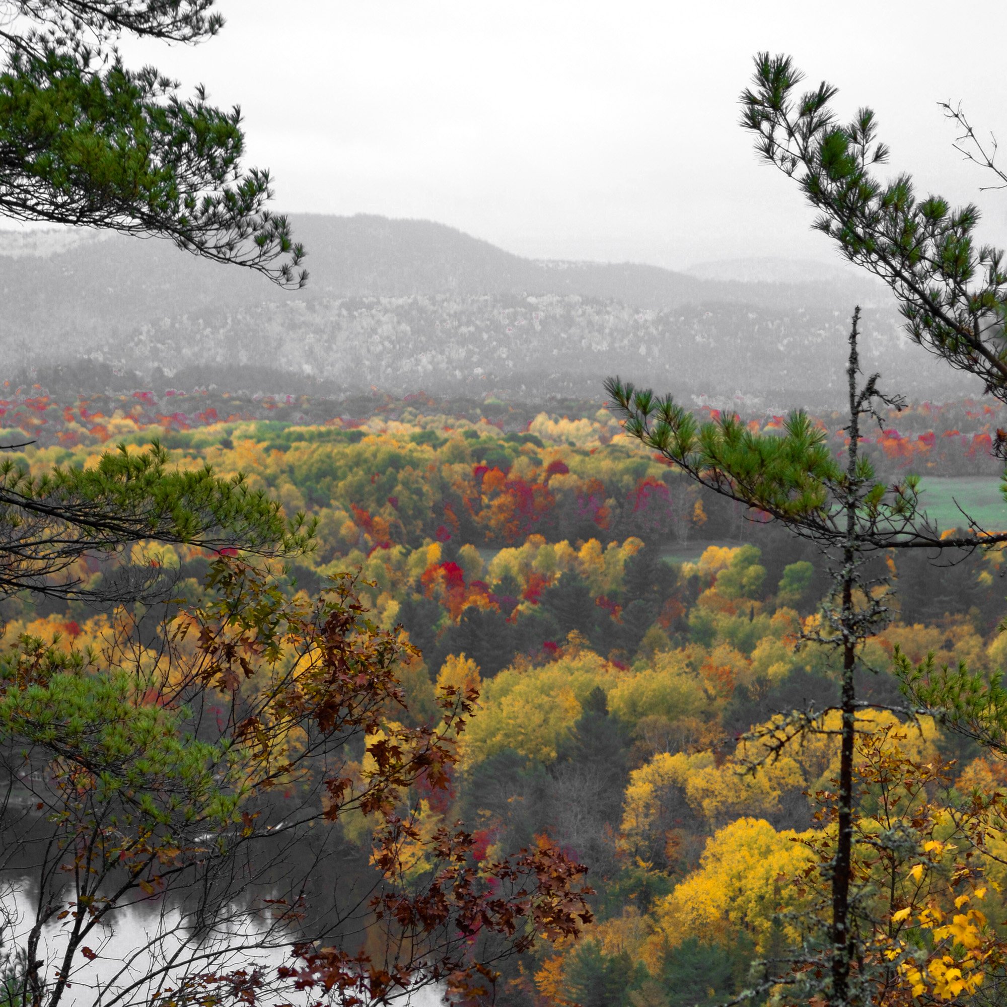 nature-photos-hiking-in-quebec (6 of 12).jpg