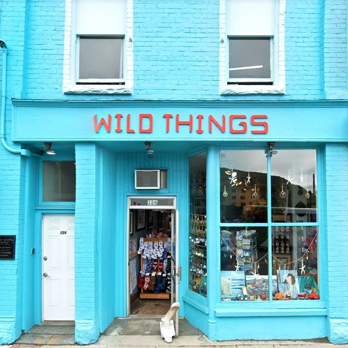 wild things.jpg