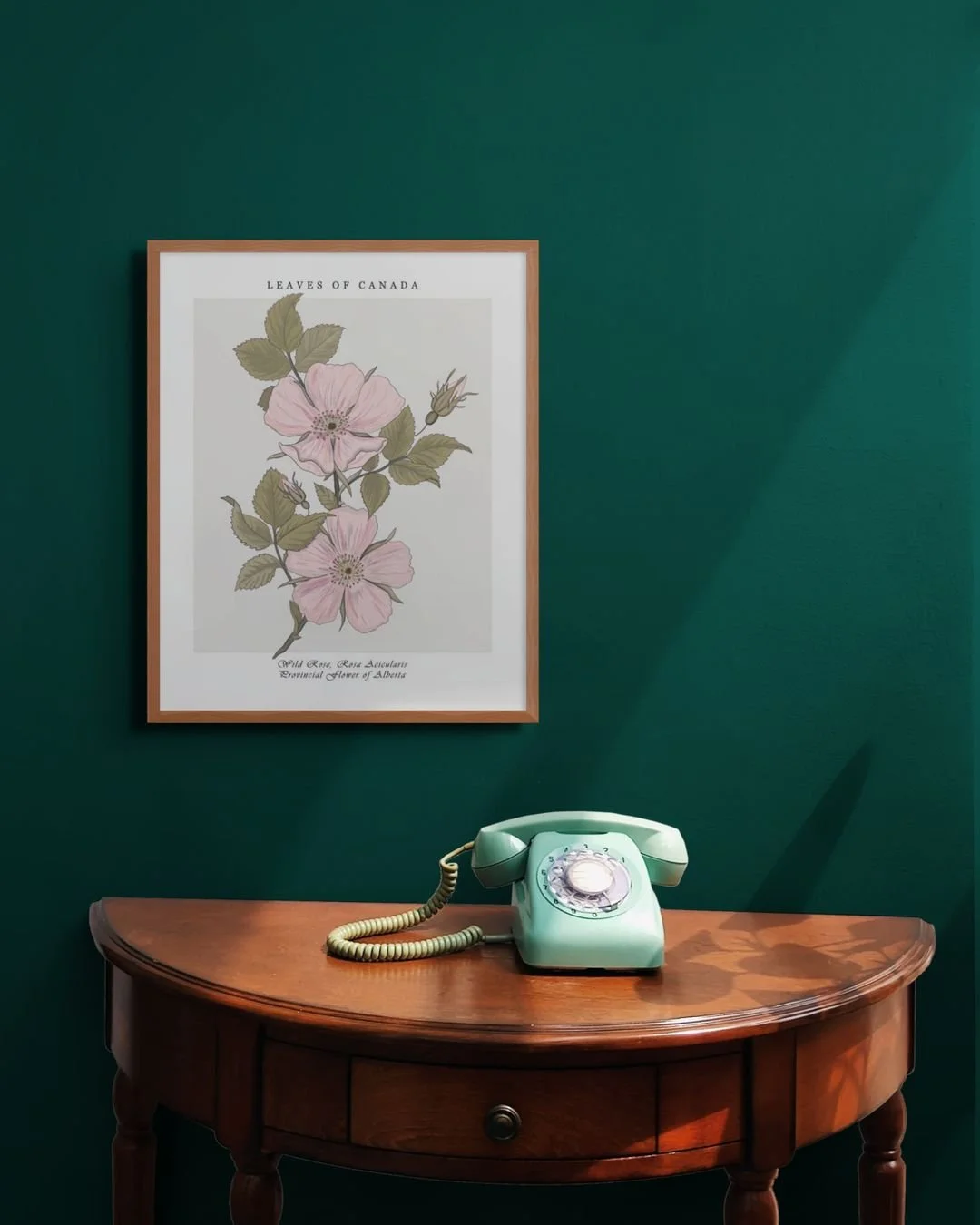 Bringing Canadian Wildflowers Into Your Home