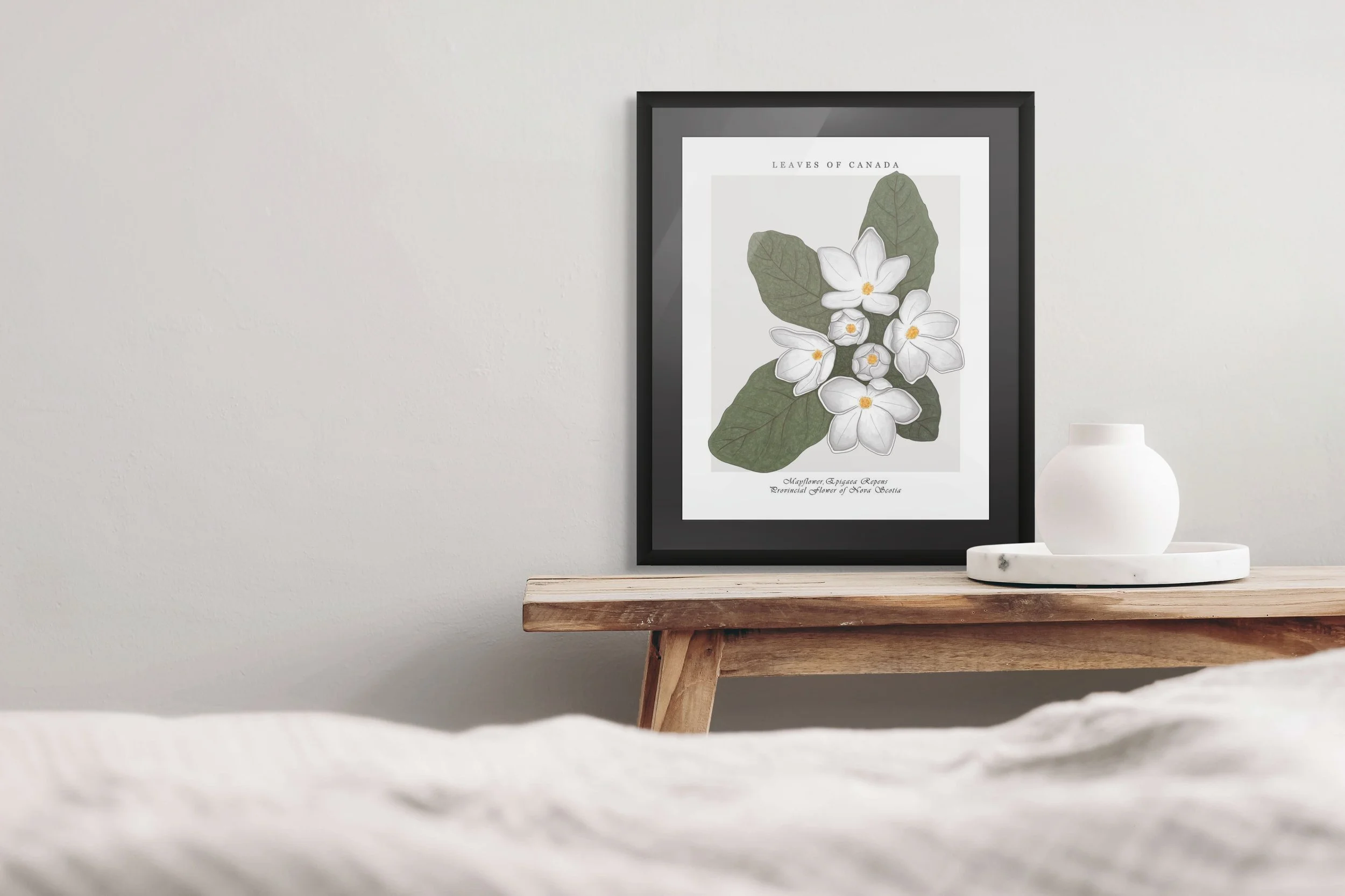 What Is a Botanical Print? A Simple Guide for Beginners
