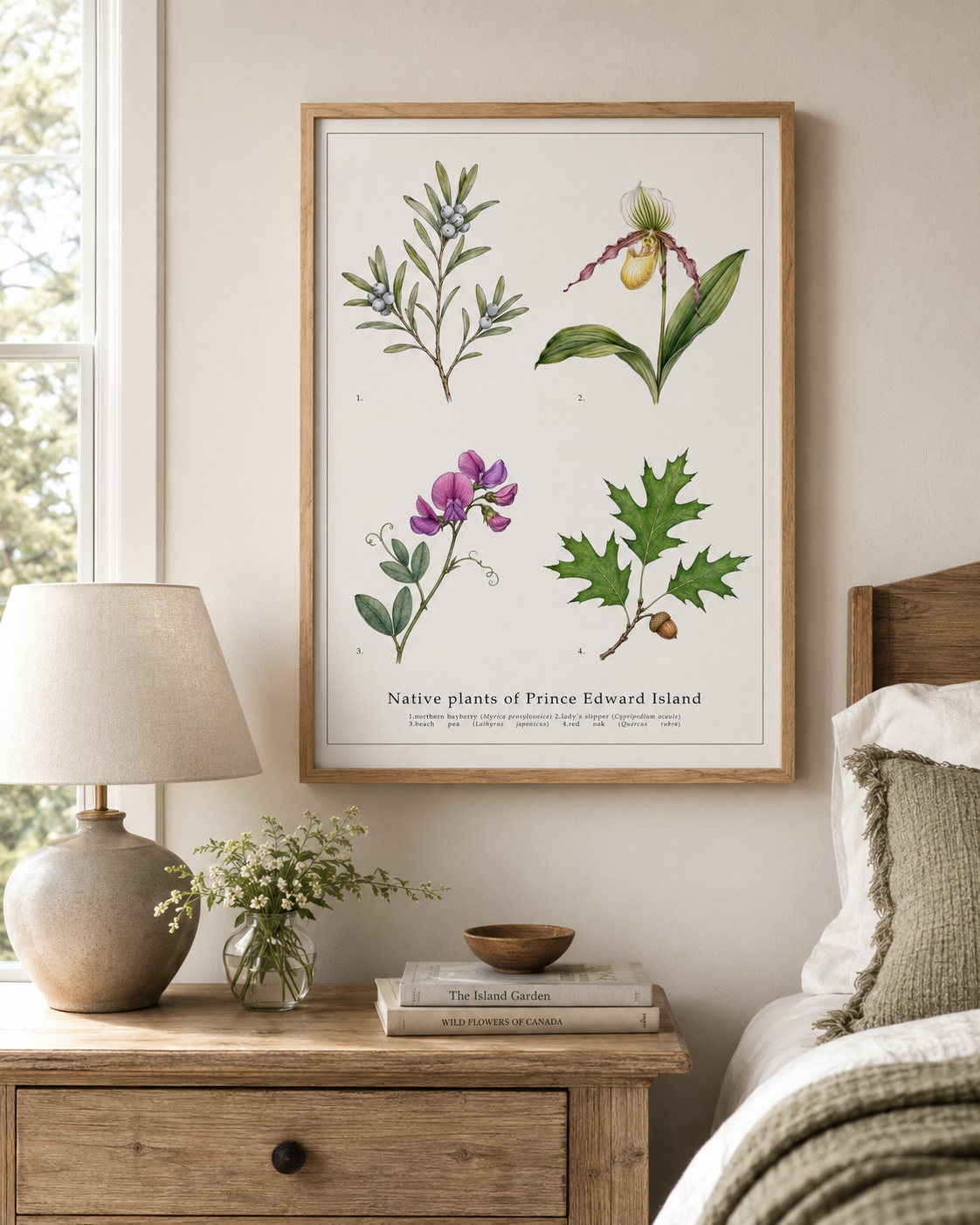 Native Plants of Prince Edward Island,  Botanical Art Print