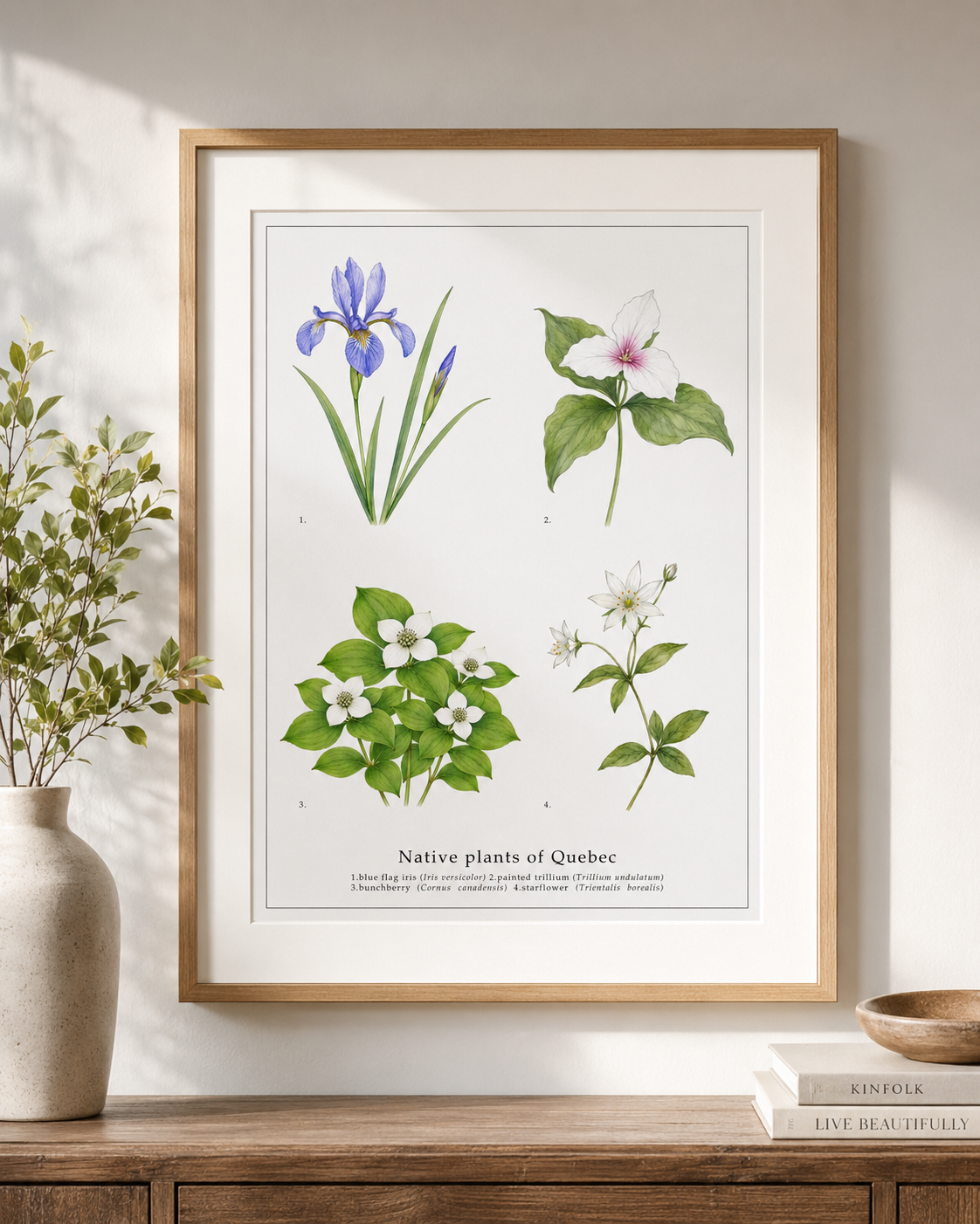 Native Plants of Quebec,  Botanical Art Print