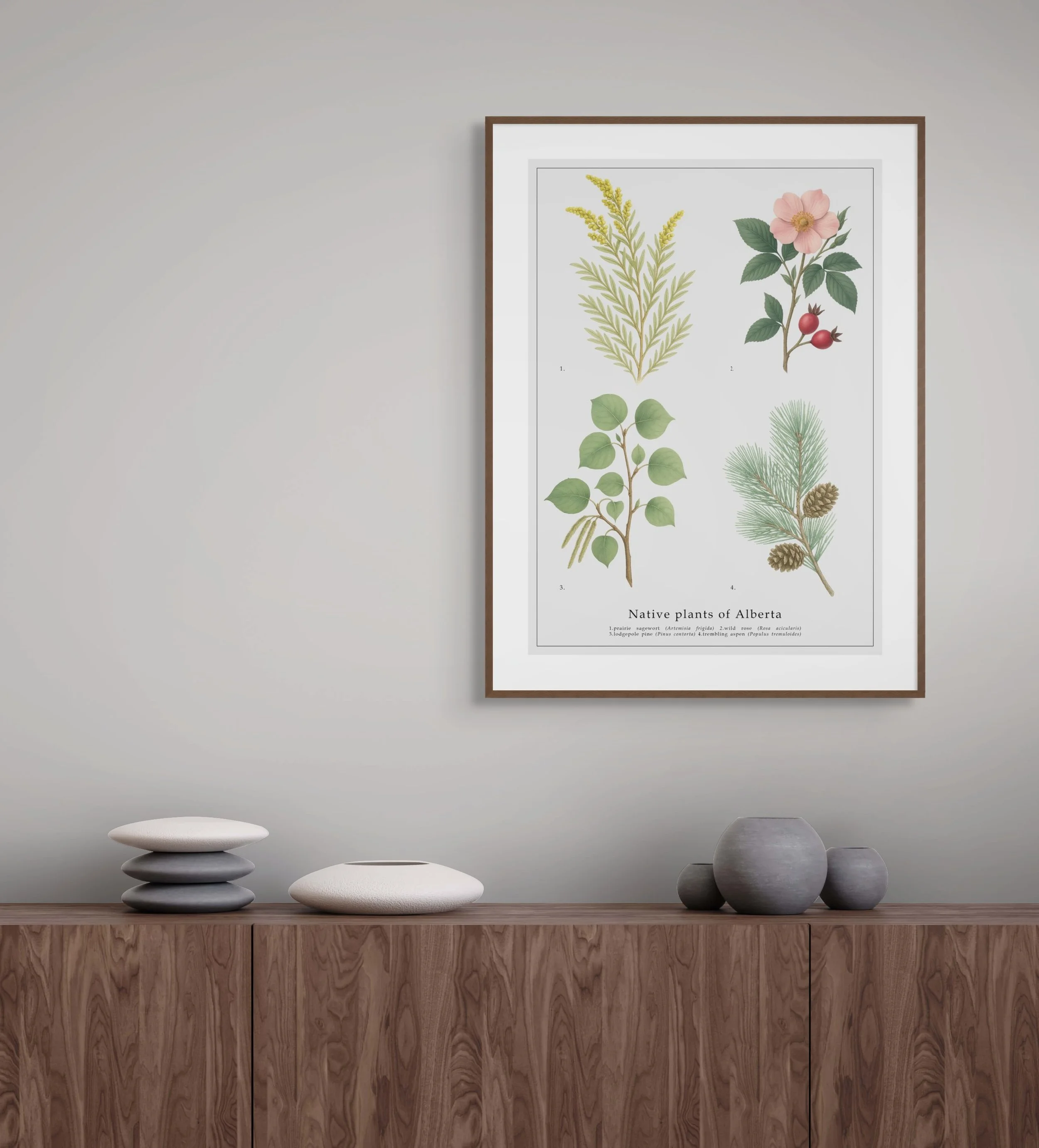 alberta-botanical-art-print.jpg