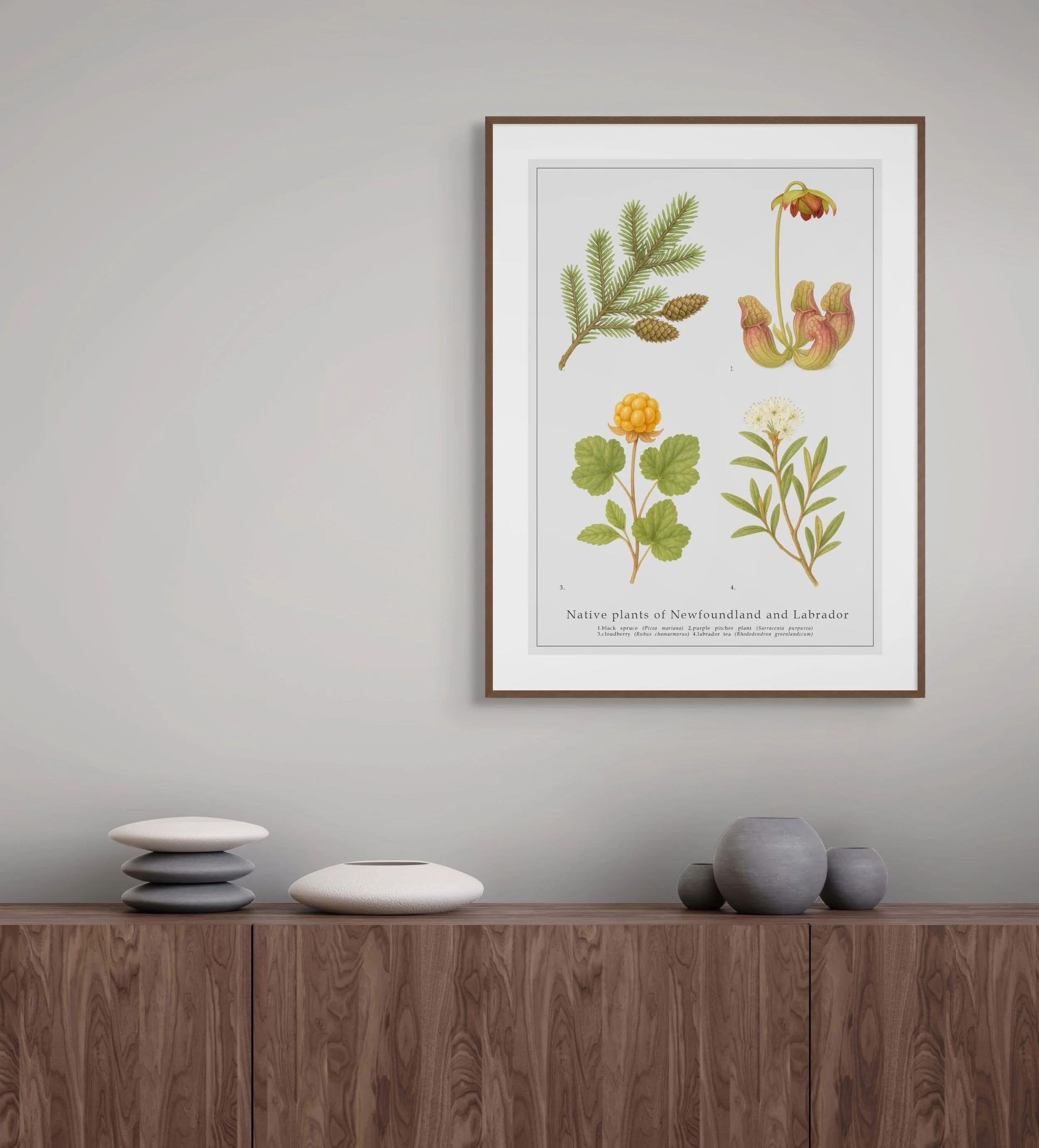 newfoundland-botanical-wall-art-decor.jpg