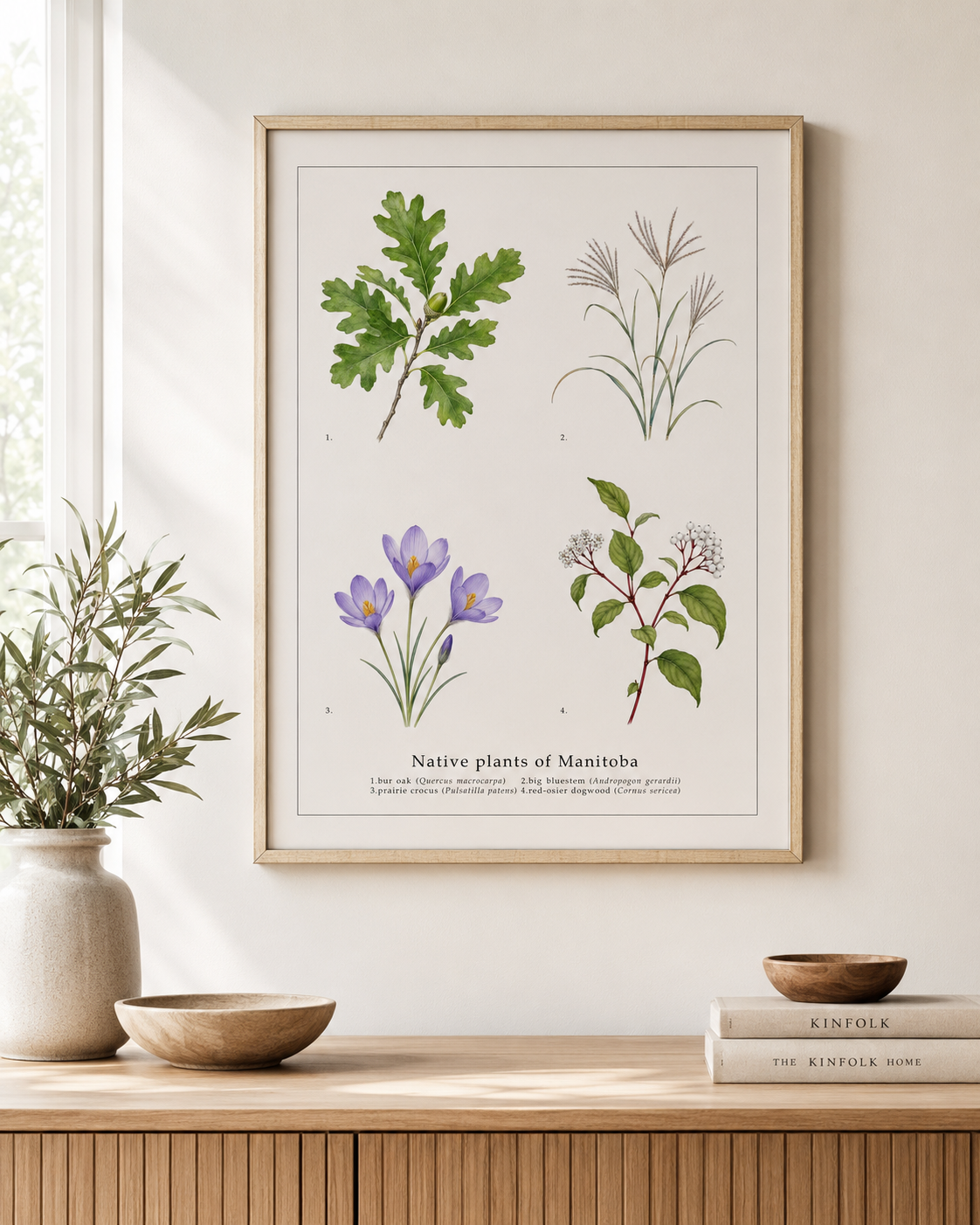 Native Plants of Manitoba,  Botanical Art Print