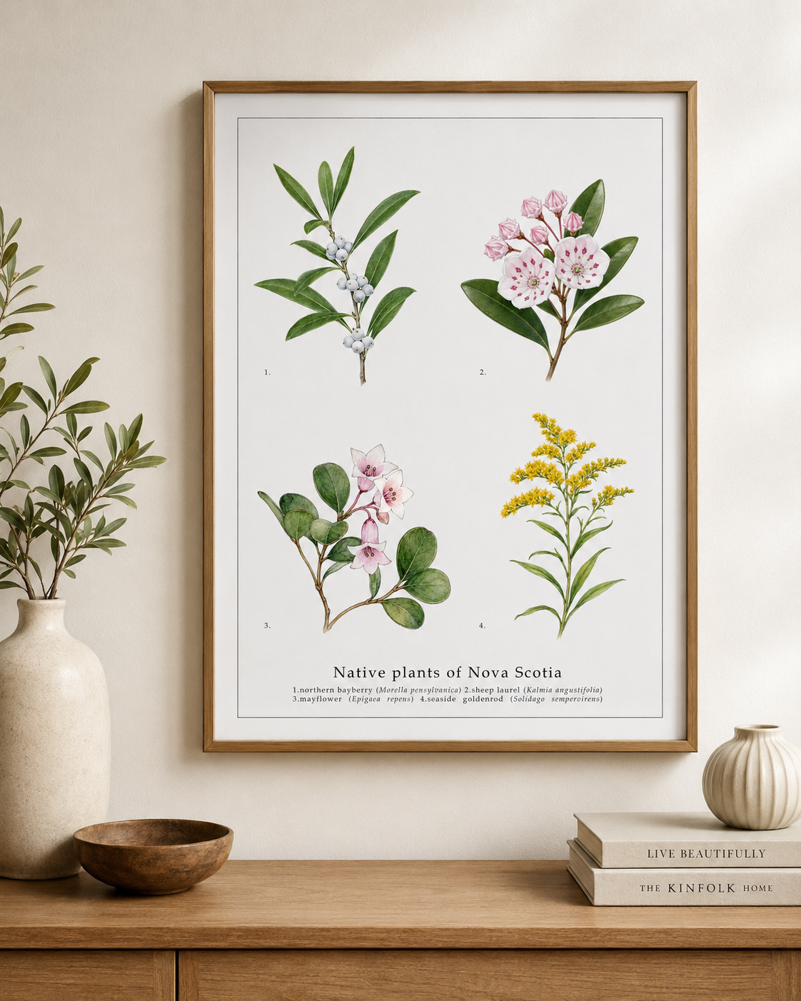 Native Plants of Nova Scotia,  Botanical Art Print