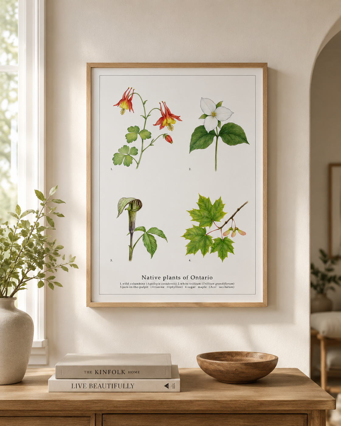 Native Plants of Ontario,  Botanical Art Print