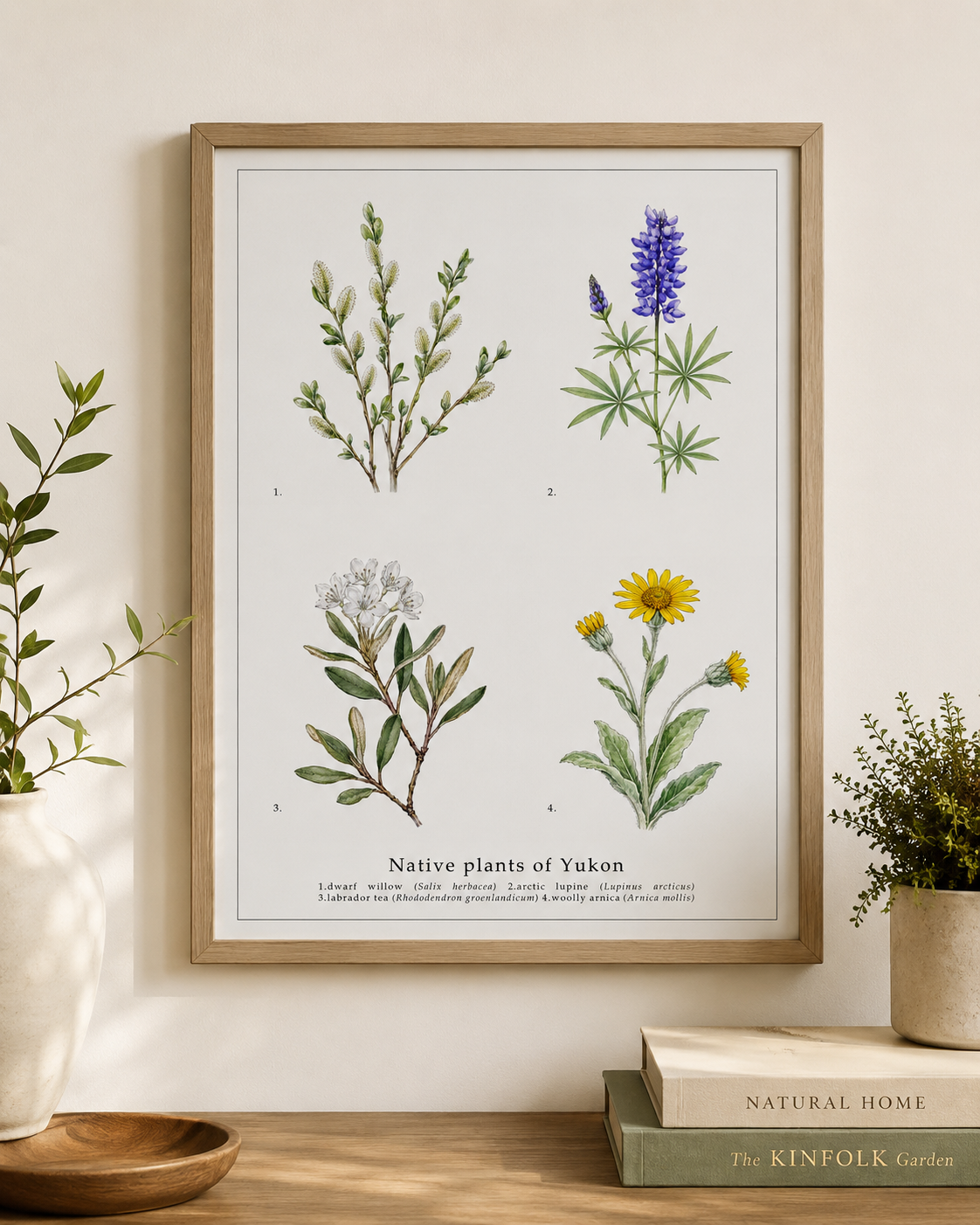 Native Plants of Yukon,  Botanical Art Print