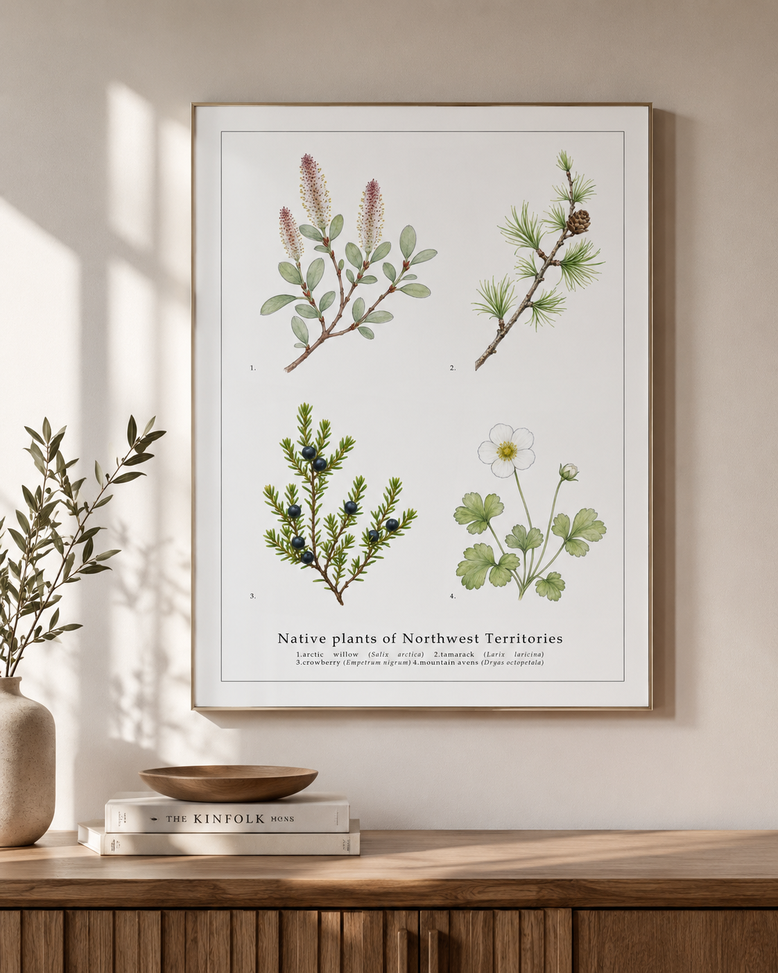 Native Plants of Northwest Territories,  Botanical Art Print
