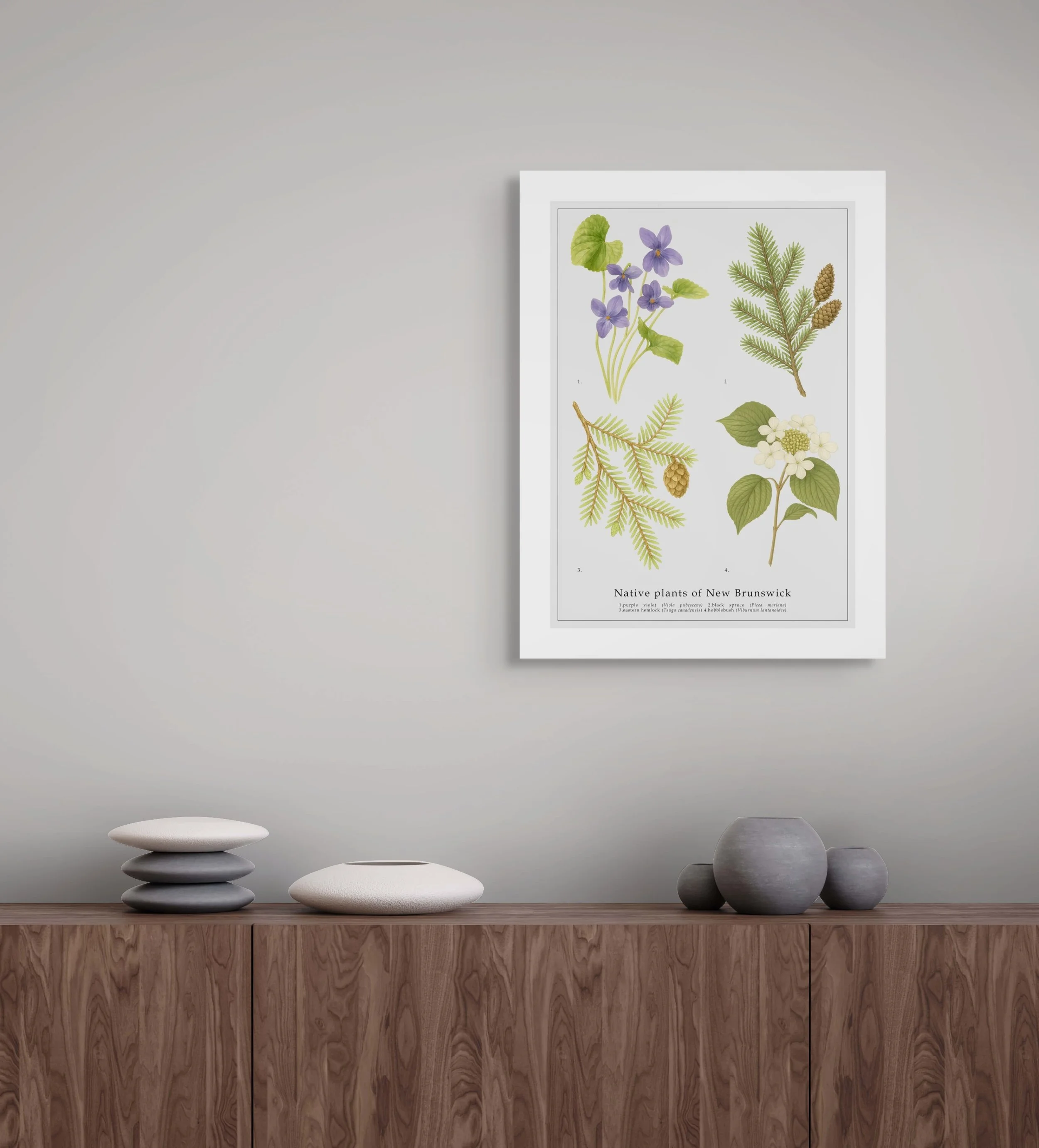 new-brunswick-botanical-art-full.jpg