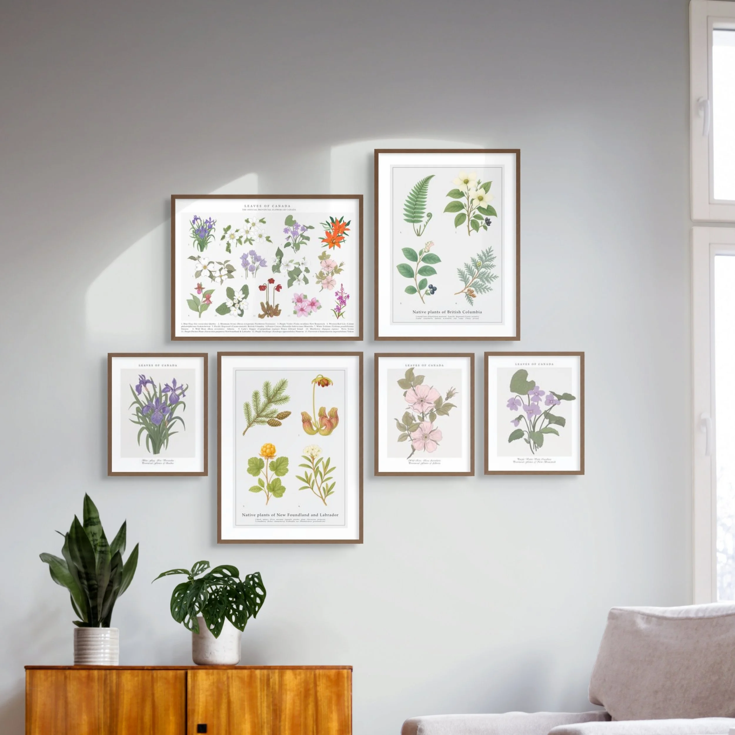 botanical-wall-art-native-plants.jpg