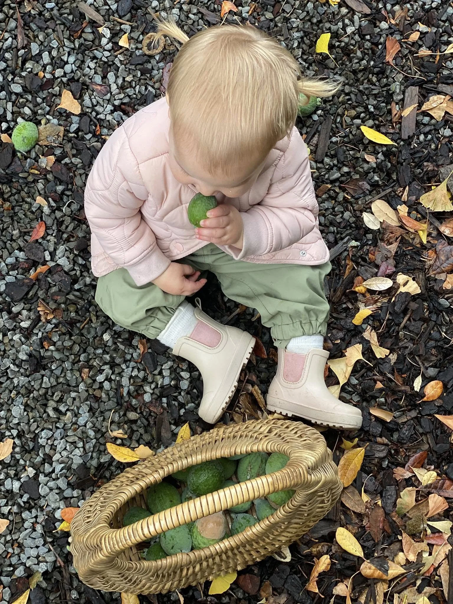A young child sitting on the ground surrounded by fallen autumn leaves, holding a green fruit to their mouth, with a basket of similar fruits nearby.