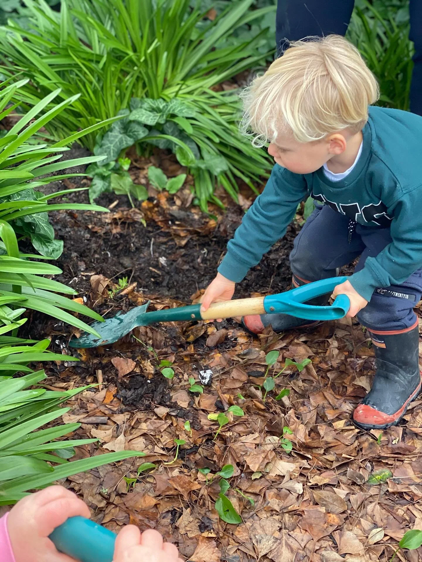 A young boy with blonde hair wearing a teal jacket, blue pants, and black boots using a small shovel to dig in a garden filled with fallen leaves and small green plants.