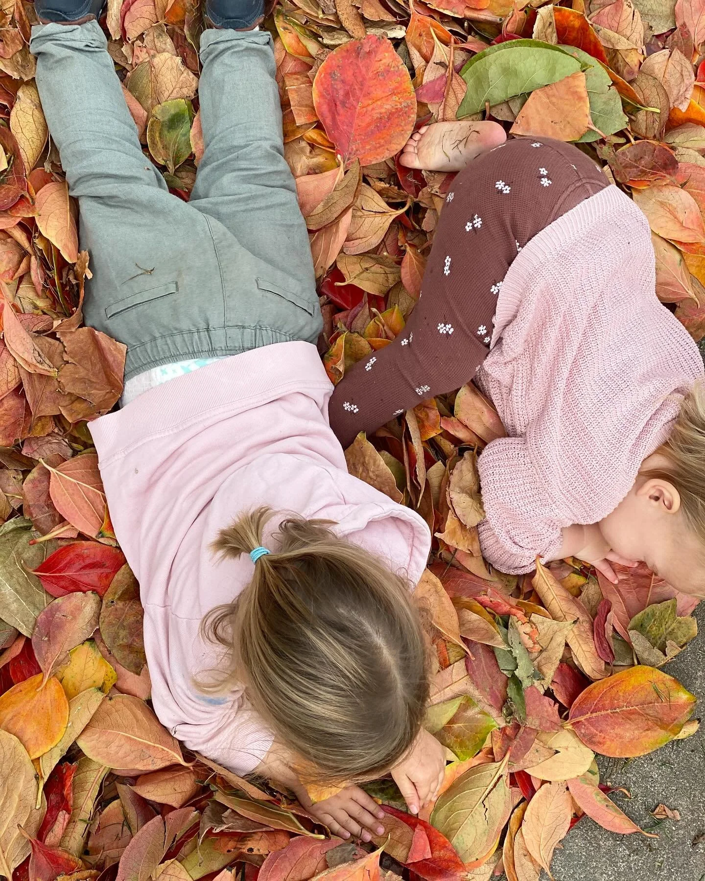 Two children lying on a bed of fall-colored leaves, one with a ponytail is on her side and the other with blonde hair is on her stomach, both in casual clothing.