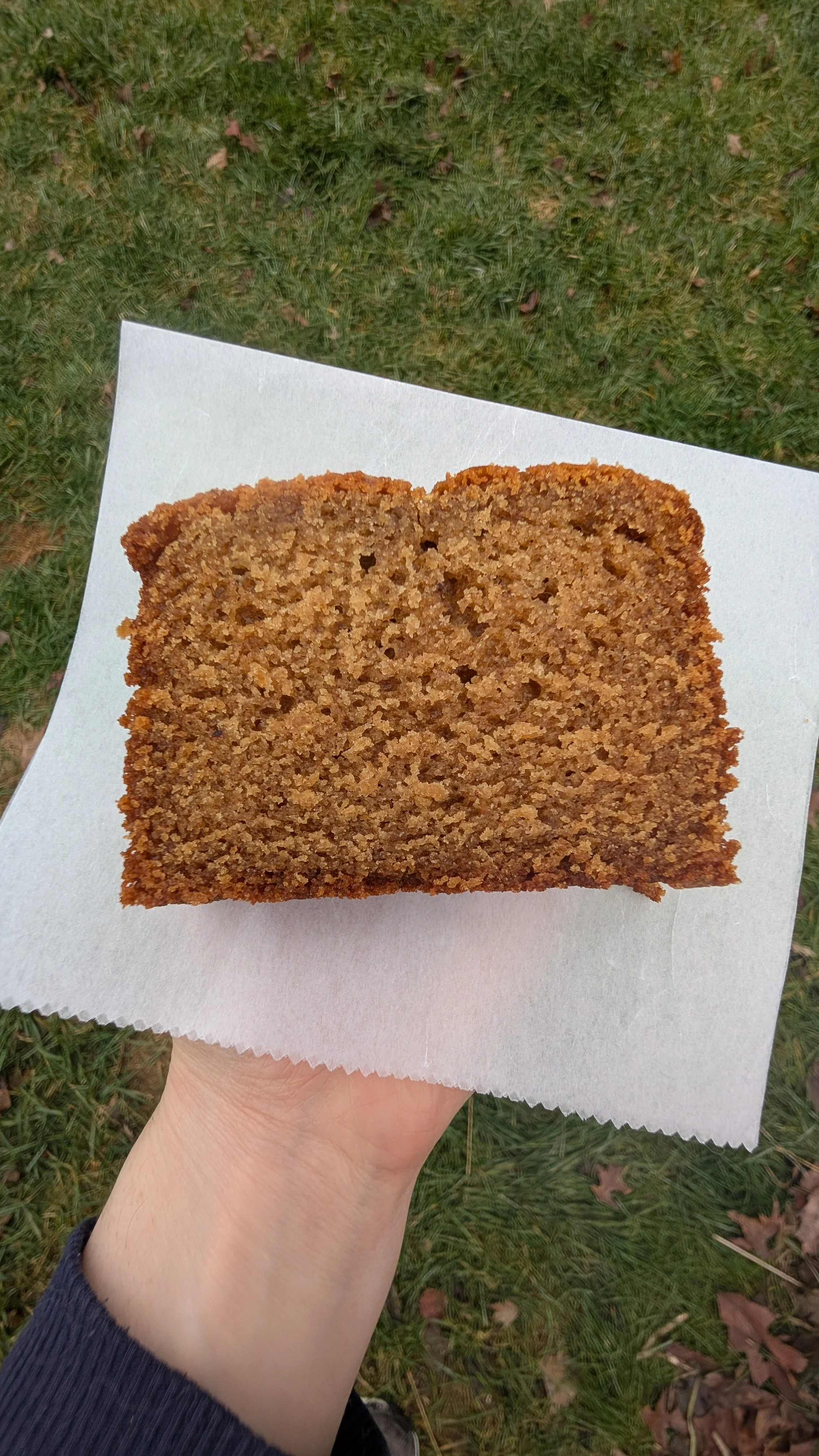 Honey Spice Cake
