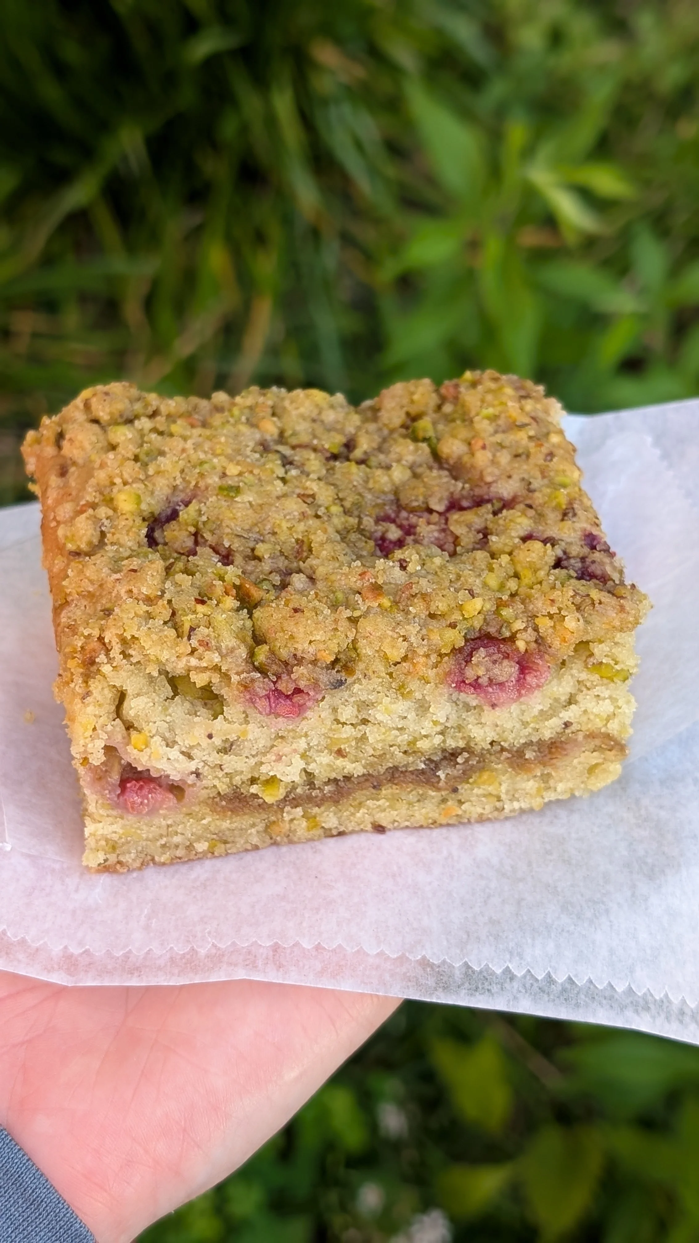 Vegan Raspberry Pistachio Cake