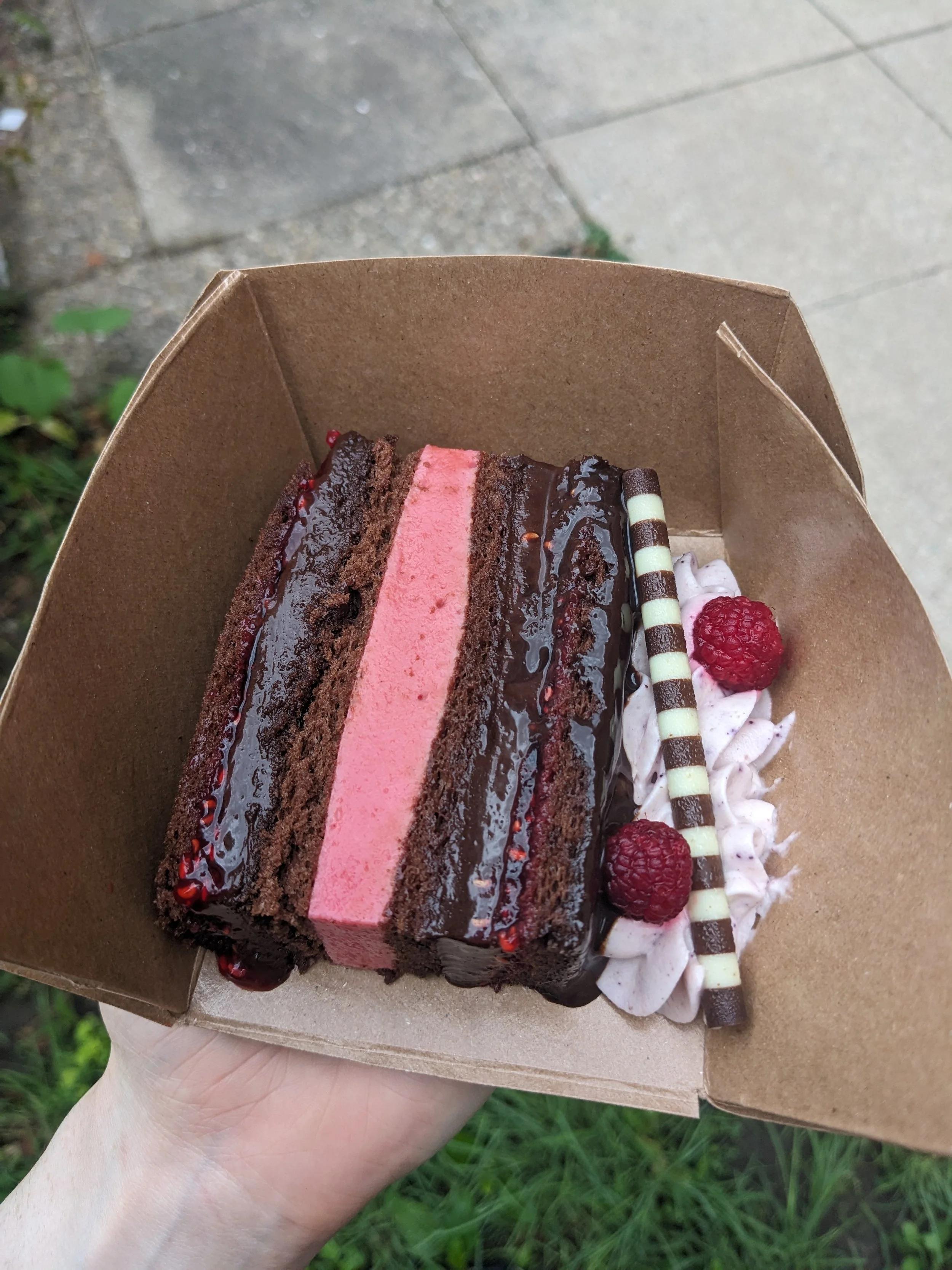 Raspberry Chocolate Cake