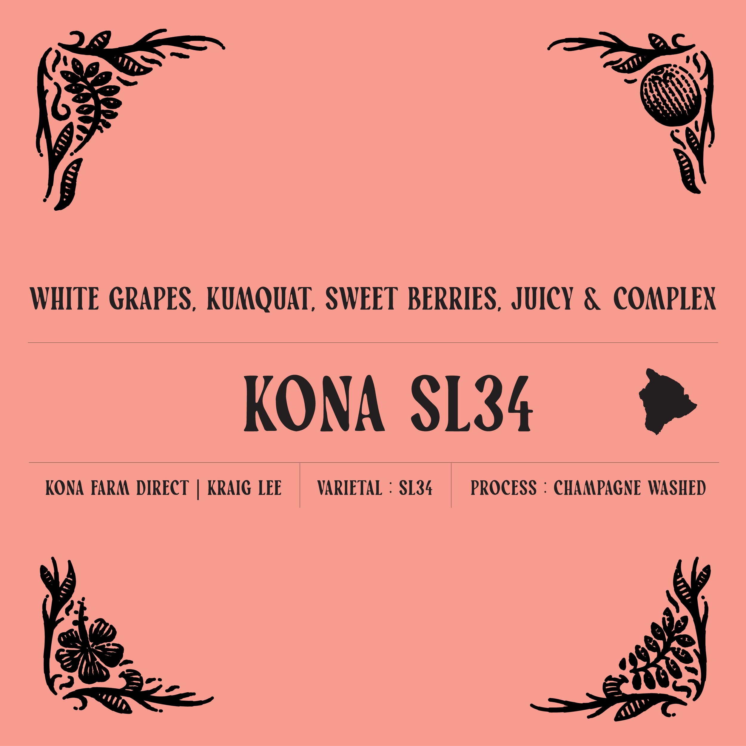 KONA SL34