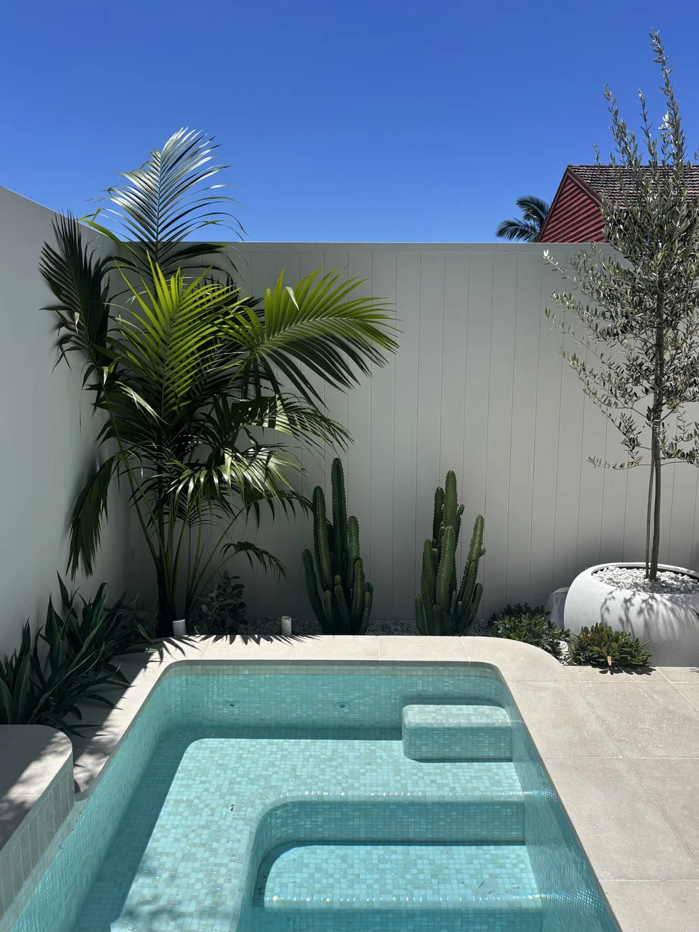 Concrete pool designed for a long narrow Sydney backyard