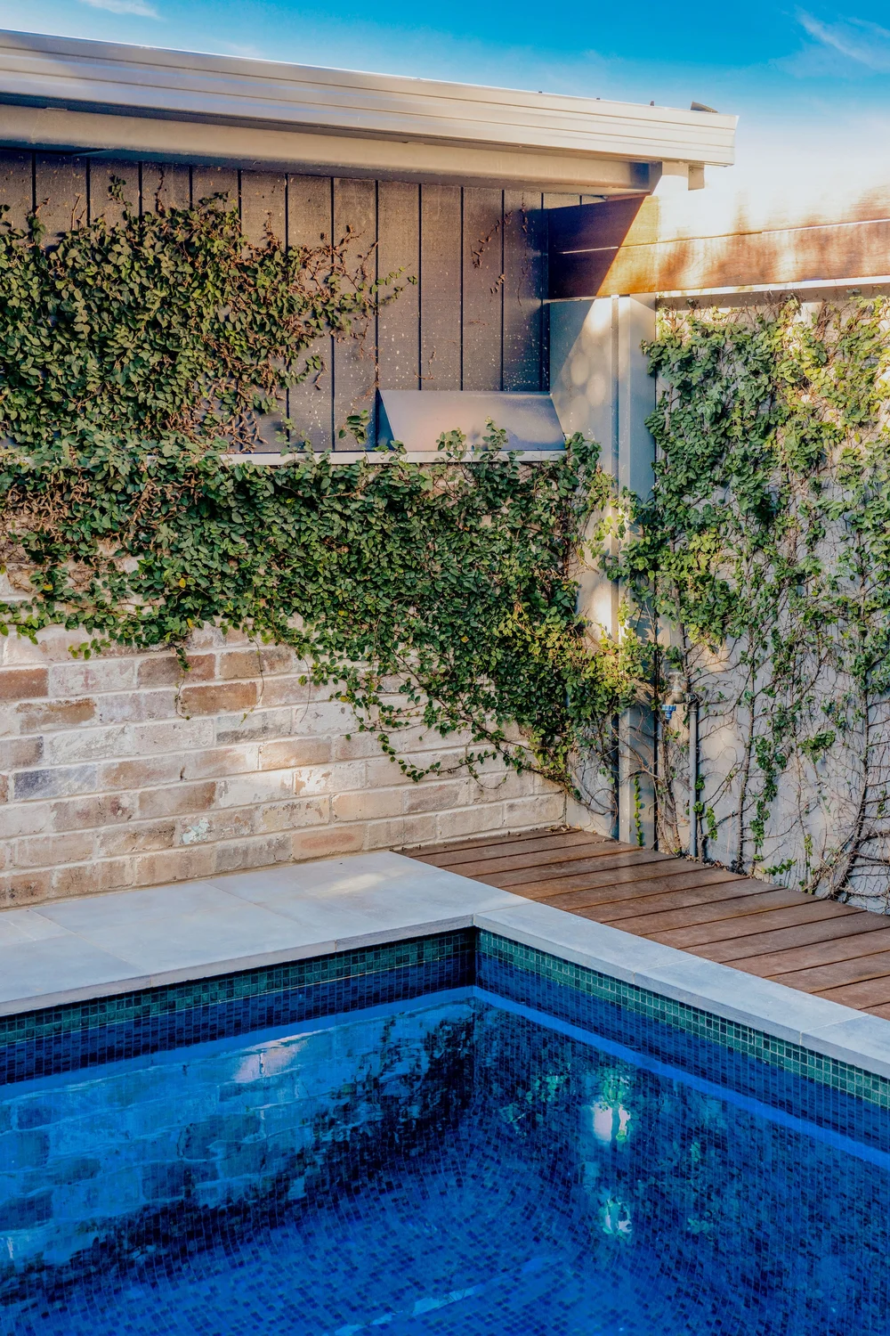 Site-specific concrete pool design in Sydney