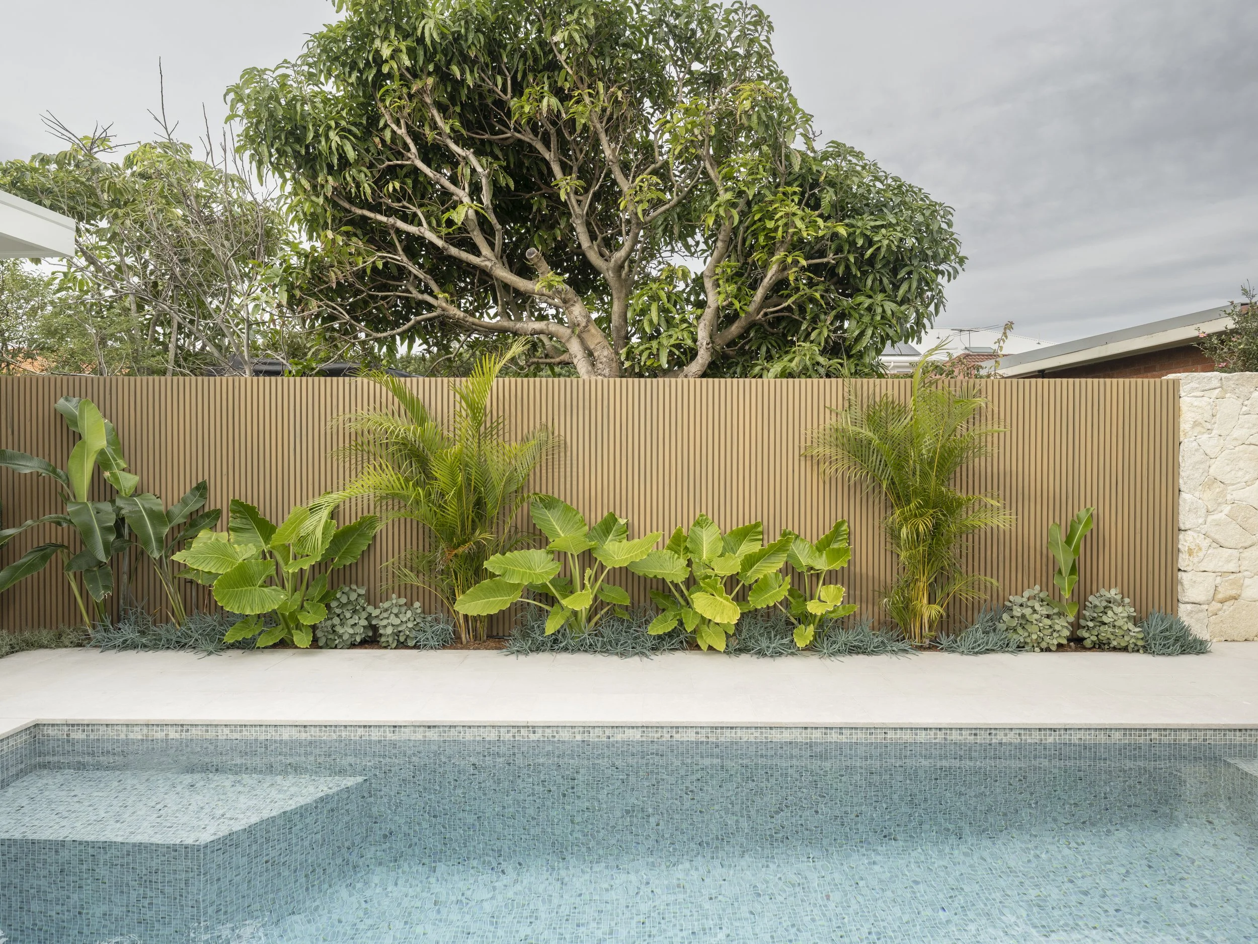concrete swimming pool eastern suburbs