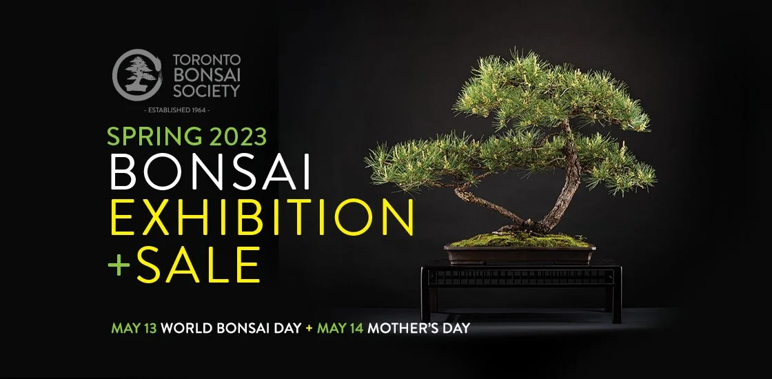 EVENTS — Toronto Bonsai Society