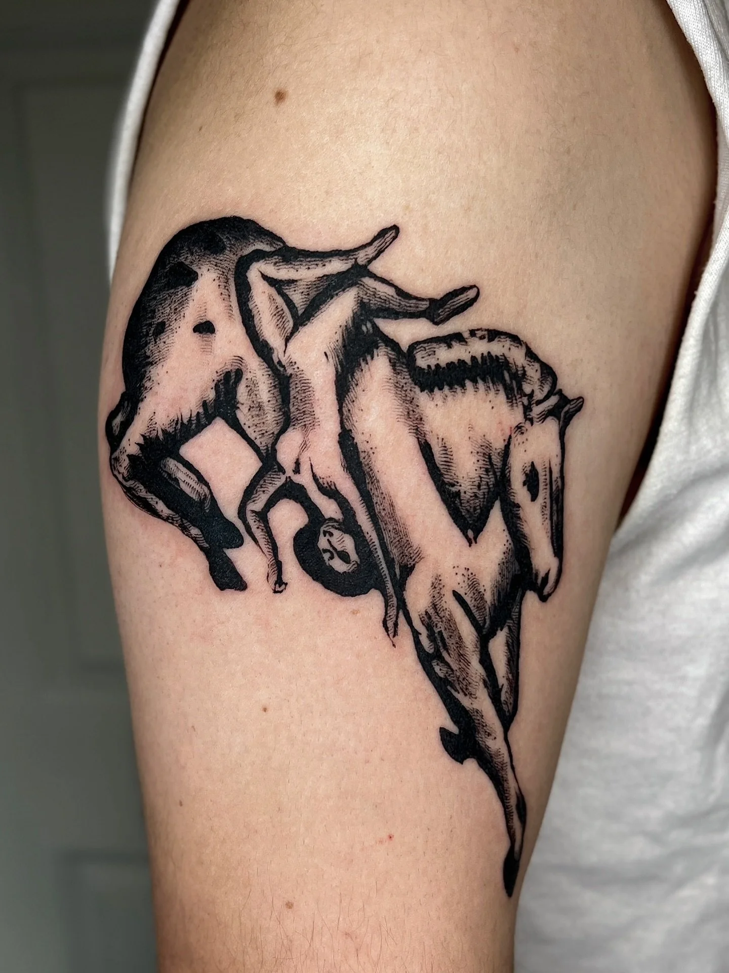 From many many months ago- adaption of a section of Bareback Rider by Ernst Kirchner 
#contemporarytattoo #pdxtattoo #pdxtattooartist #portlandoregontattoo #qttr