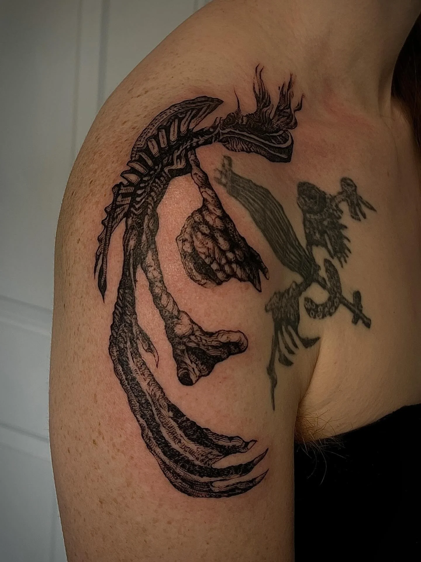 Custom birdfoot shoulder cap to fit around an old piece also by me 🦢
#collagetattoo #pdxtattoo #pdxtattooartist #portlandoregontattoo #ornamentaltattoo