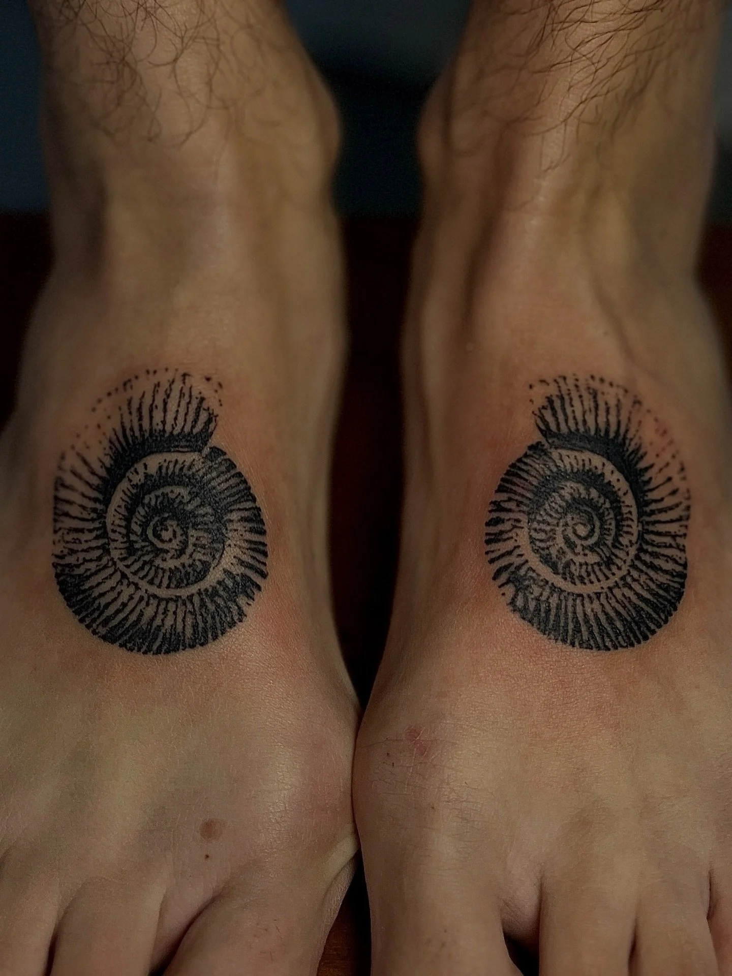 Ammonite pair 🌀
#pdxtattoo #pdxtattooartist #finelineblackwork #ornamentaltattoo #qttr