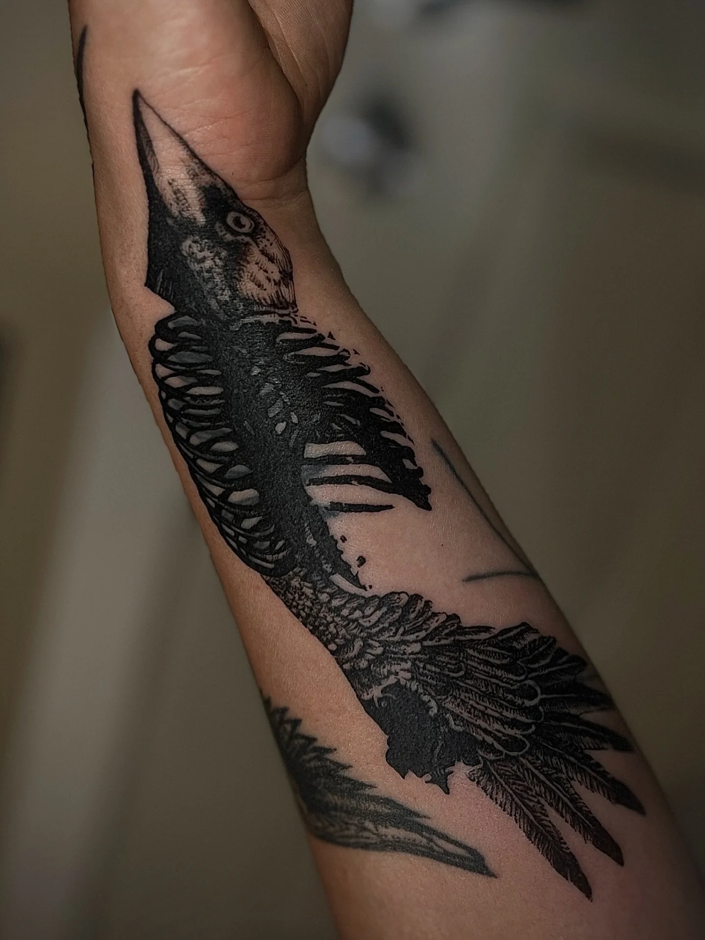 Bird-bone coverup 🐦&zwj;⬛
#pdxtattoo #portlandoregontattoo #collagetattoo #finelineblackwork #qttr