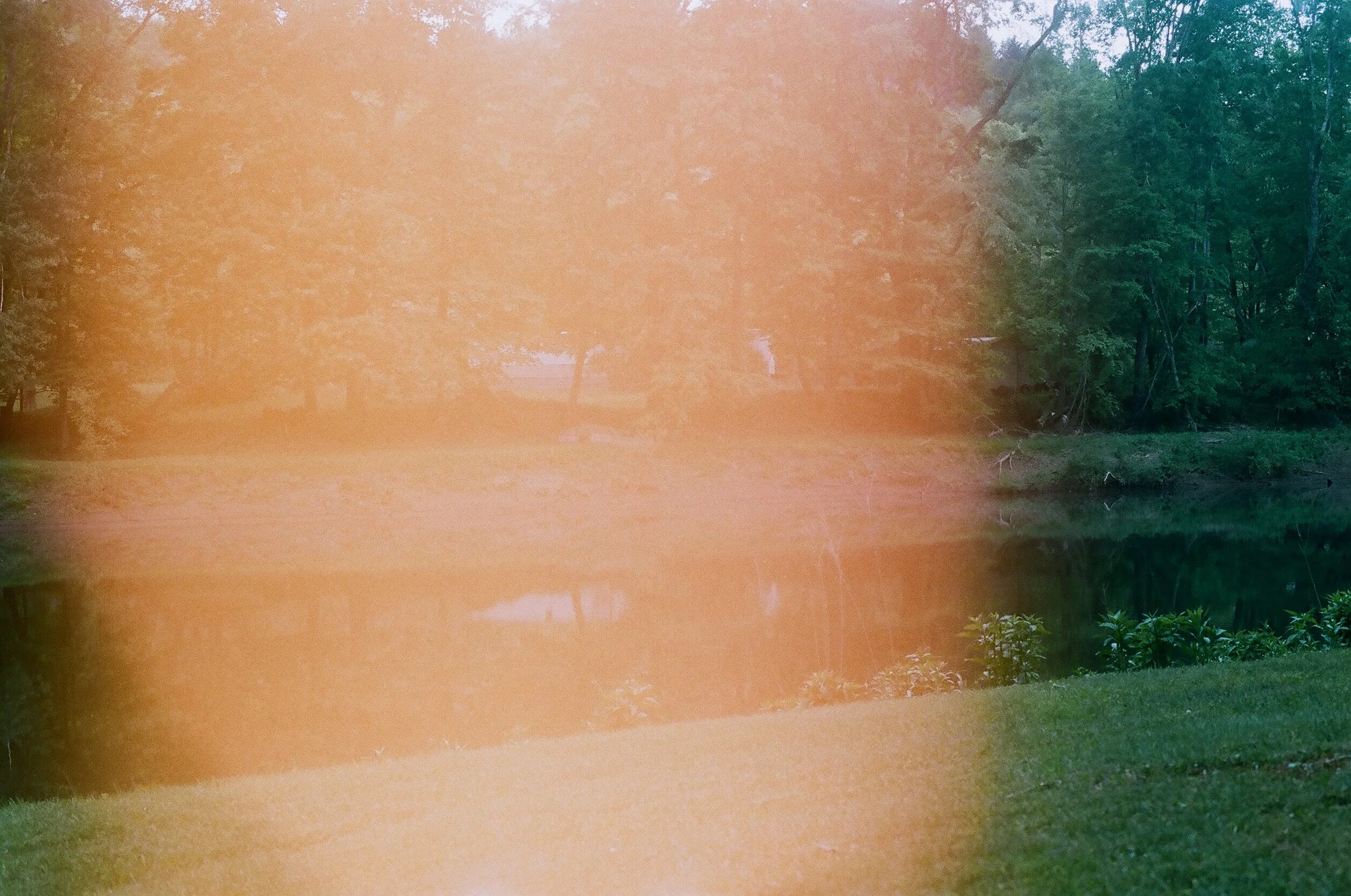 enchanted 3.jpg