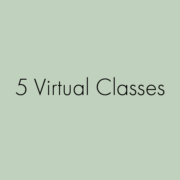 Virtual Classes_Products-02.png