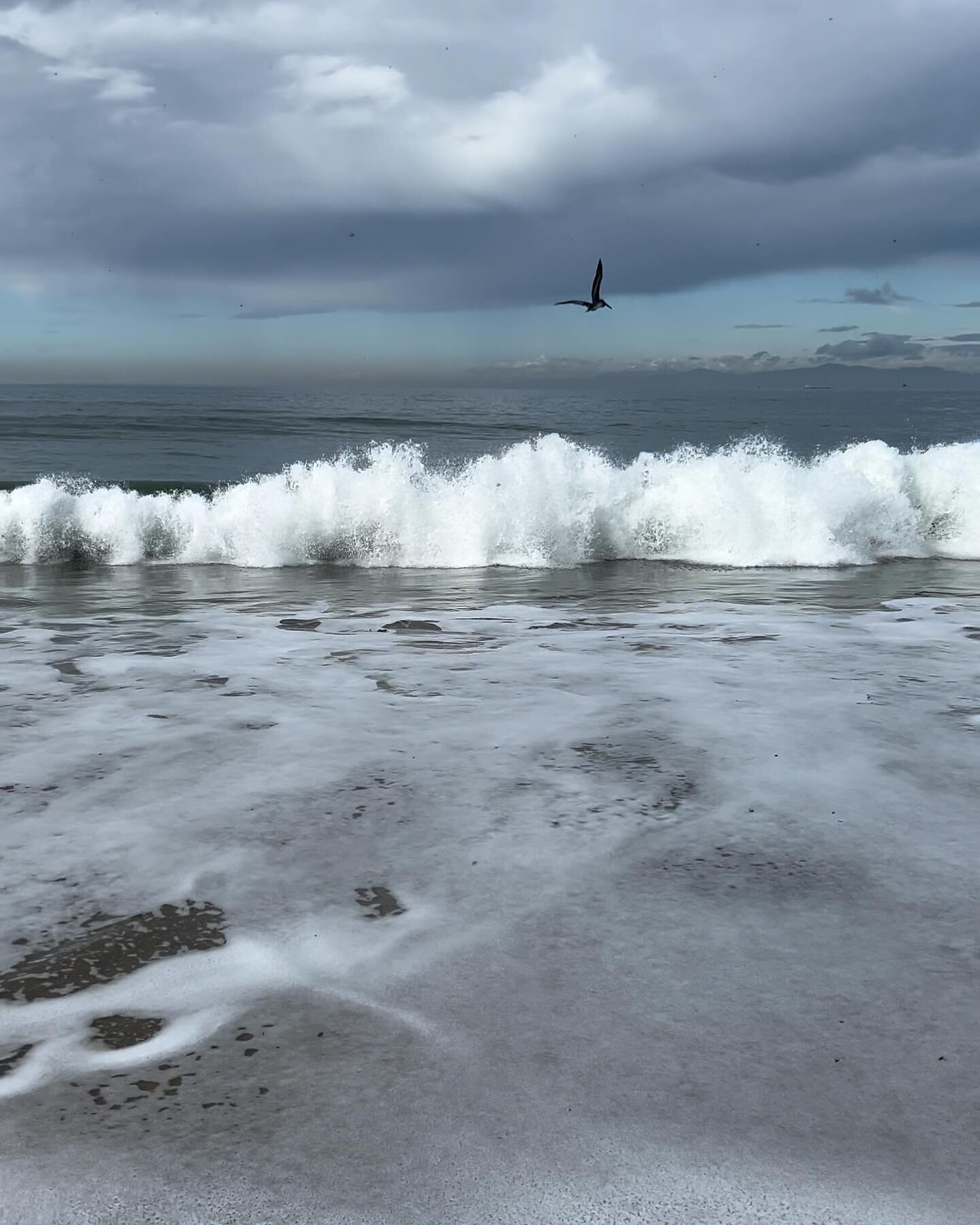 December by the sea 🌙

&ldquo;The sun had not yet risen. The sea was indistinguishable from the sky, except that the sea was slightly creased as if a cloth had wrinkles in it. Gradually as the sky whitened a dark line lay on the horizon dividing the