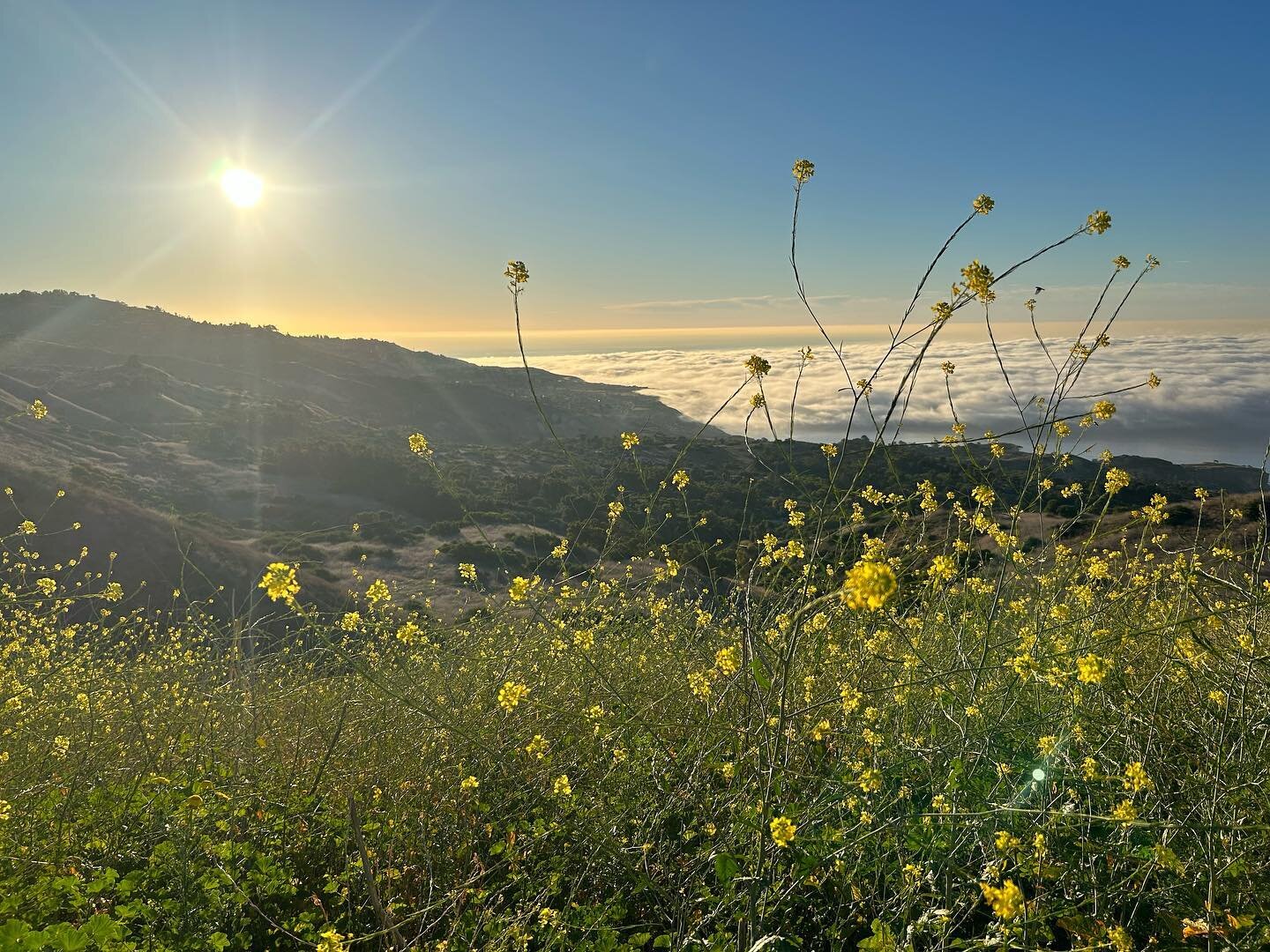 Life lately. Slower, closer, deeper. 🌱

&ldquo;There is joy in all: 
in the hair I brush each morning, in the Cannon towel, newly washed, 
that I rub my body with each morning, in the chapel of eggs I cook 
each morning, in the outcry from the kettl