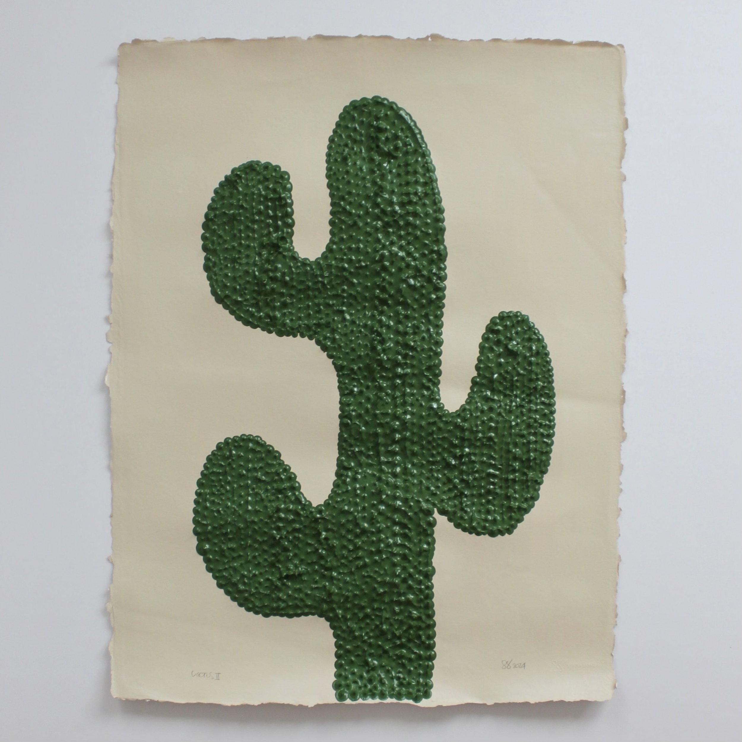 CACTUS 2.jpeg