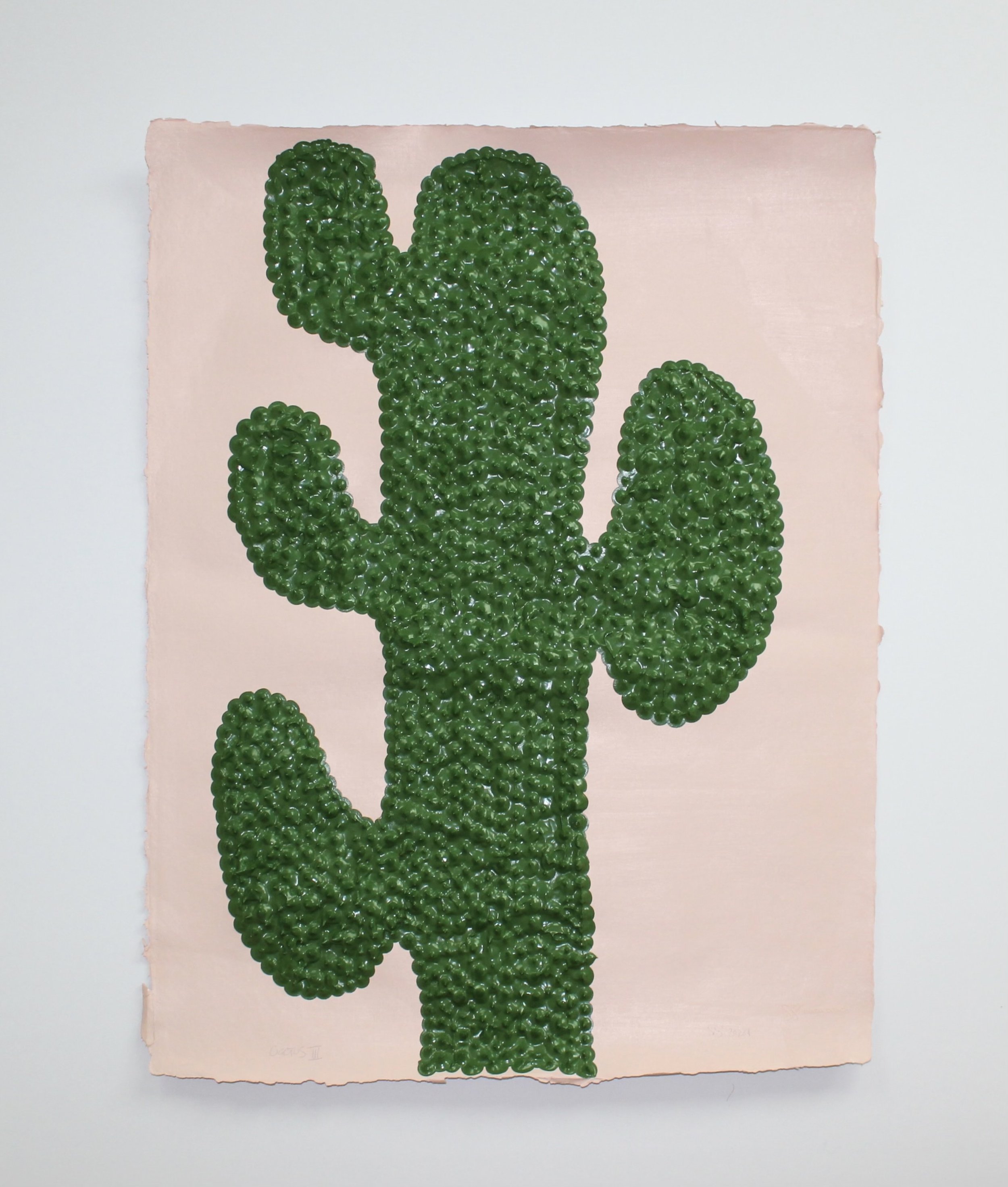 CACTUS 3 .jpeg