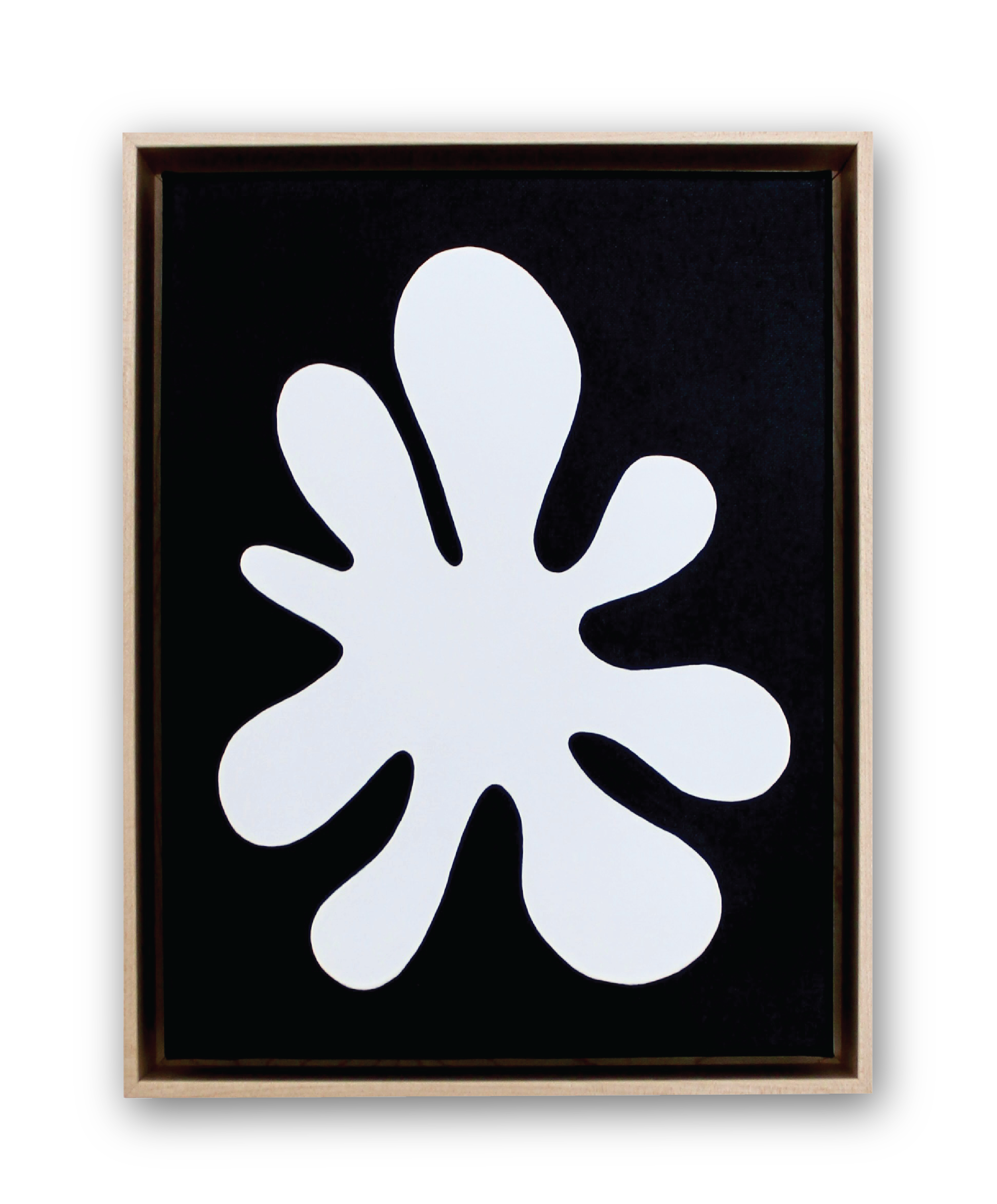 DROP SHADOW NATURE 1.png