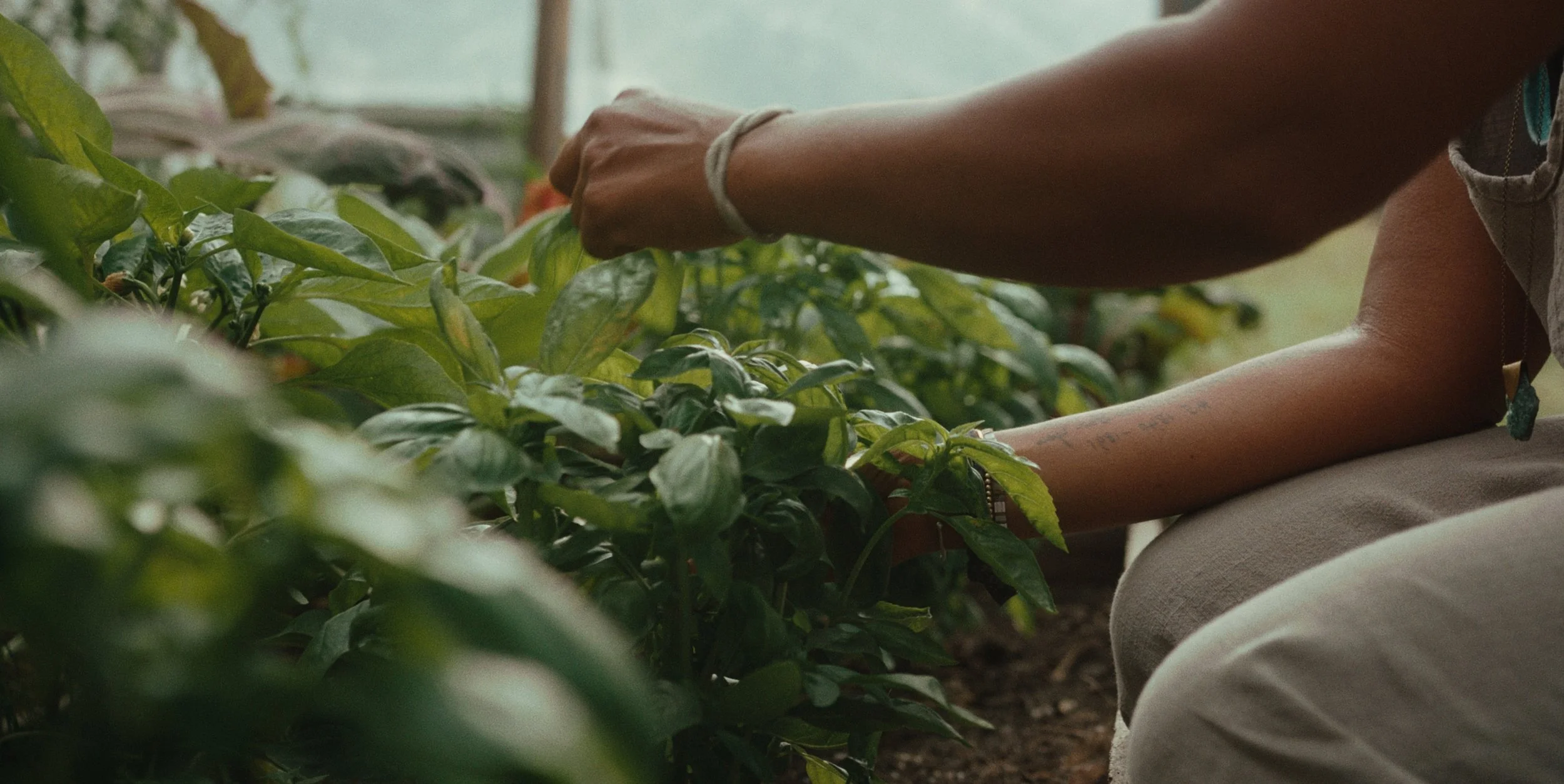 GROUNDED_STILLS_1.1.31.jpg