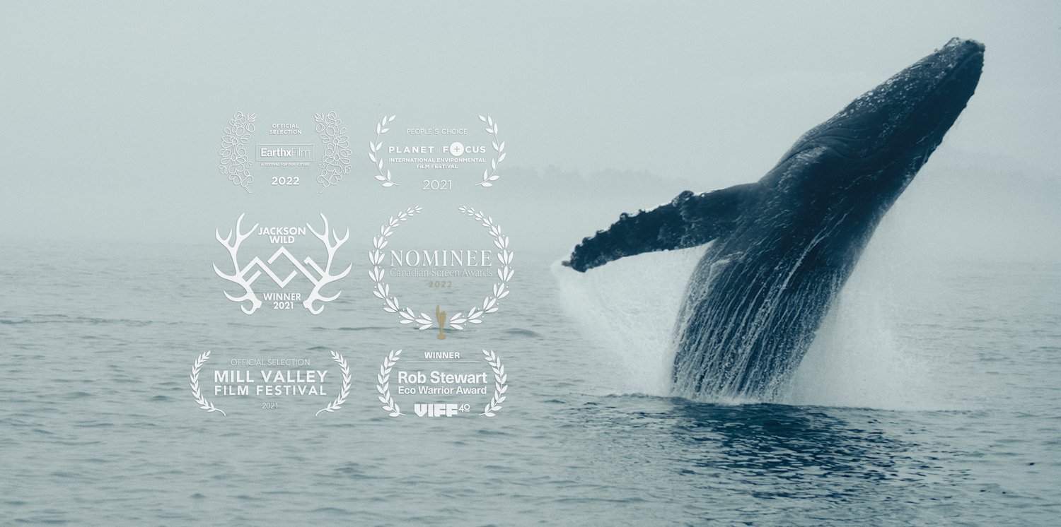 Coextinction | Feature Doc