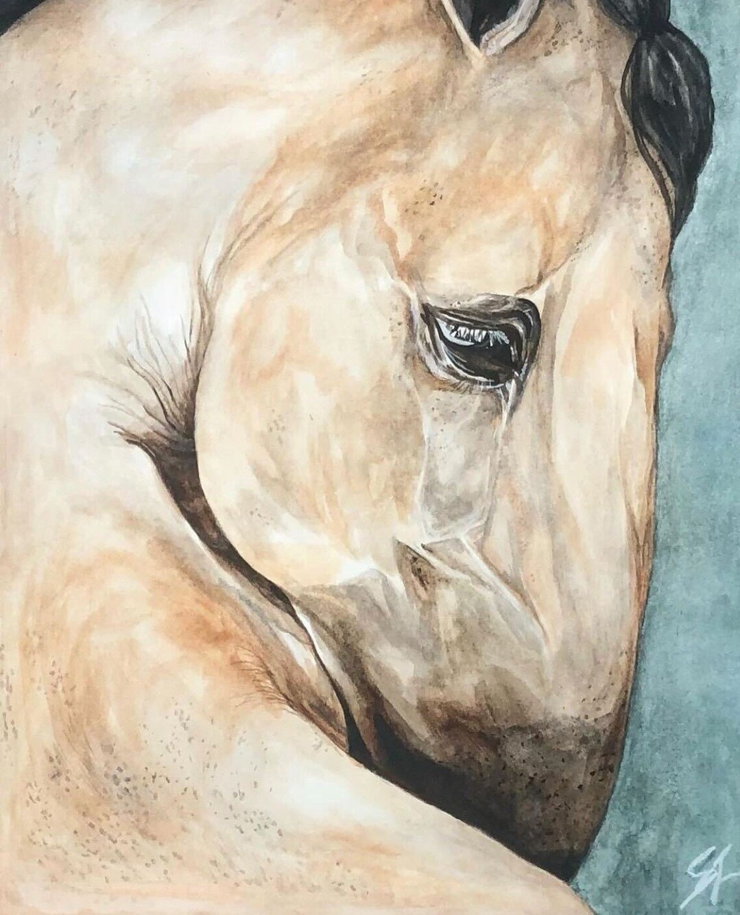 ⁠
Artwork by @brushwander⁠
⁠
&quot;Shy Stallion&quot;⁠
⁠
Watercolour &amp; gouache on hot pressed paper⁠
⁠
10.5&quot; x 13.5&quot;⁠
⁠
&quot;It&rsquo;s a tribute to my favourite childhood animal. I was obsessed with horses, they remind me of innocence