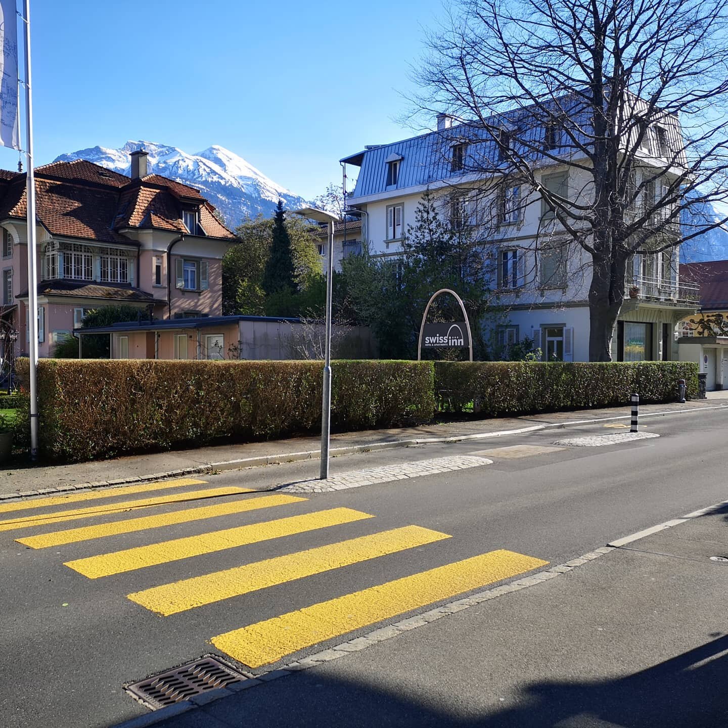 Hedge trimming... done. #interlaken #swissinn